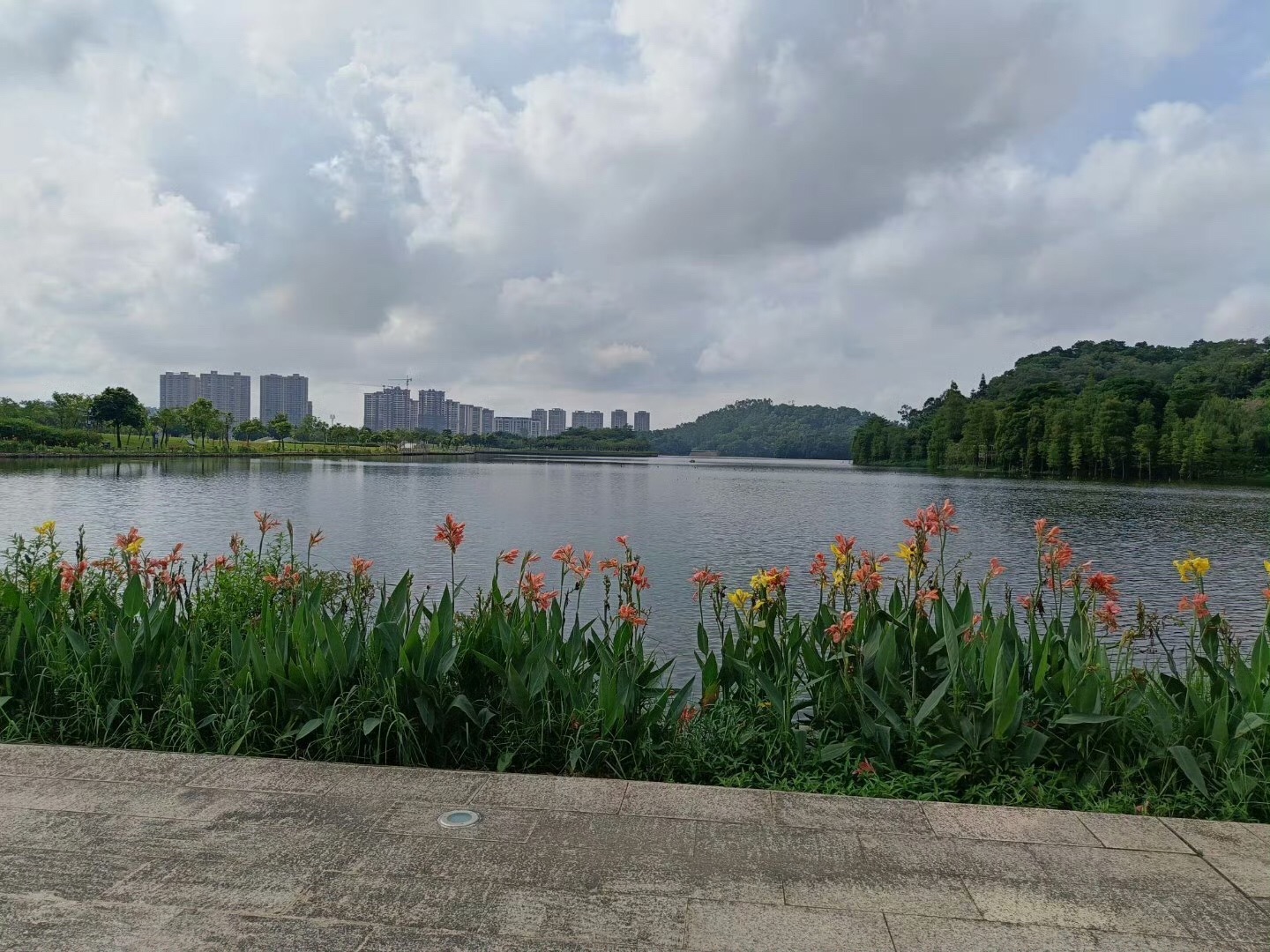 鸳鸯湖公园旅行图片 2