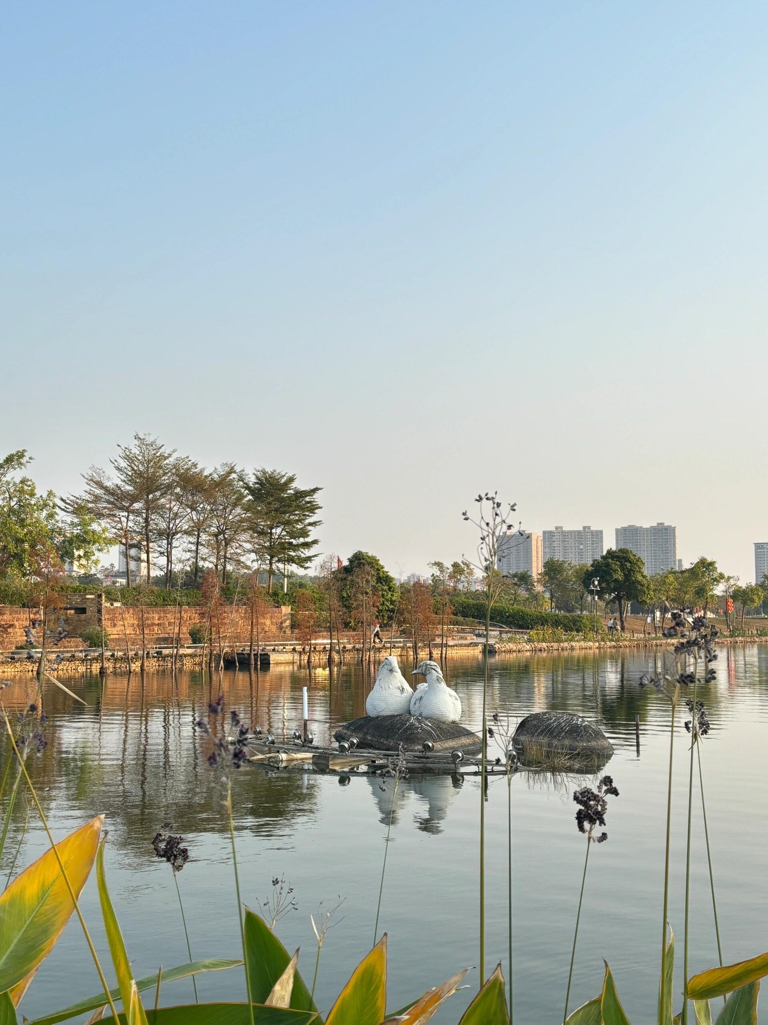 鸳鸯湖公园旅行图片 1