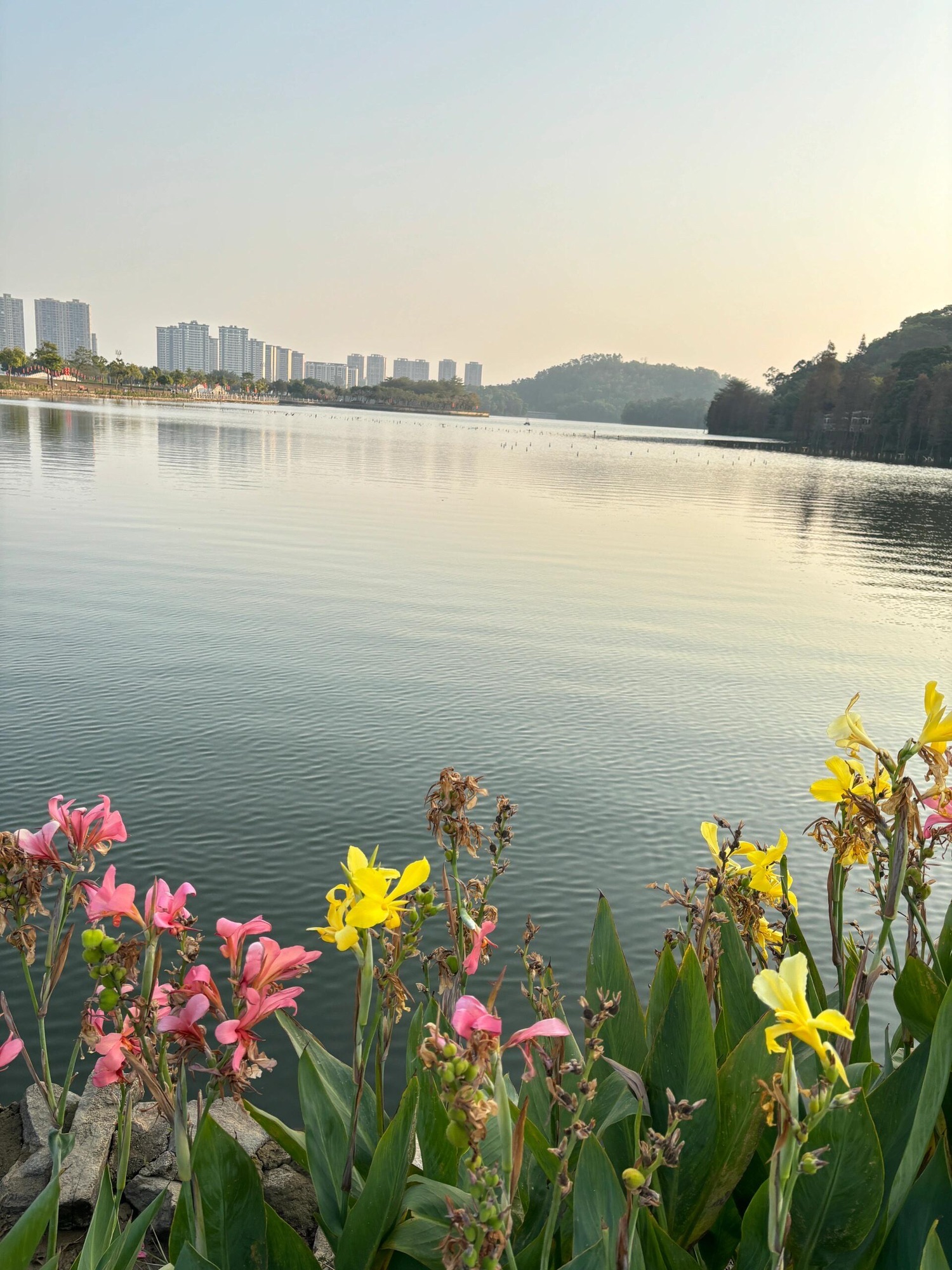 鸳鸯湖公园旅行图片 2