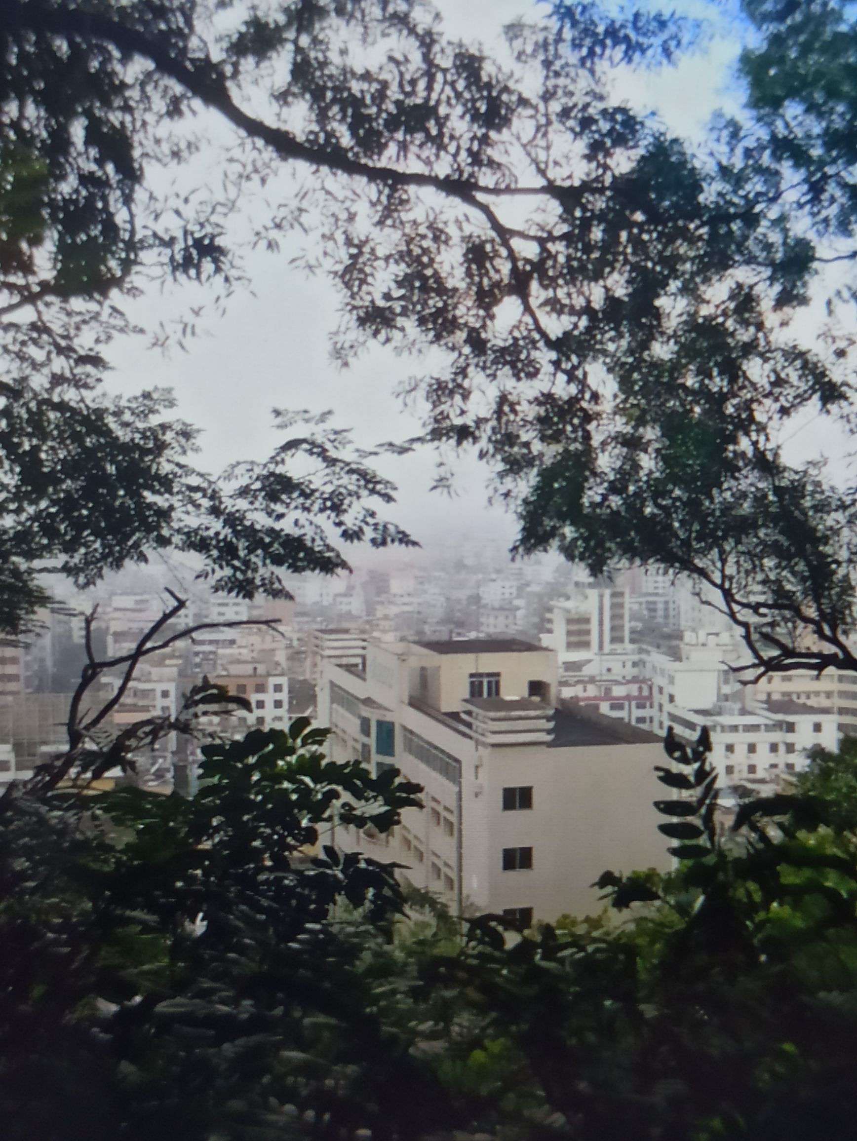 东岳公园旅行图片 2