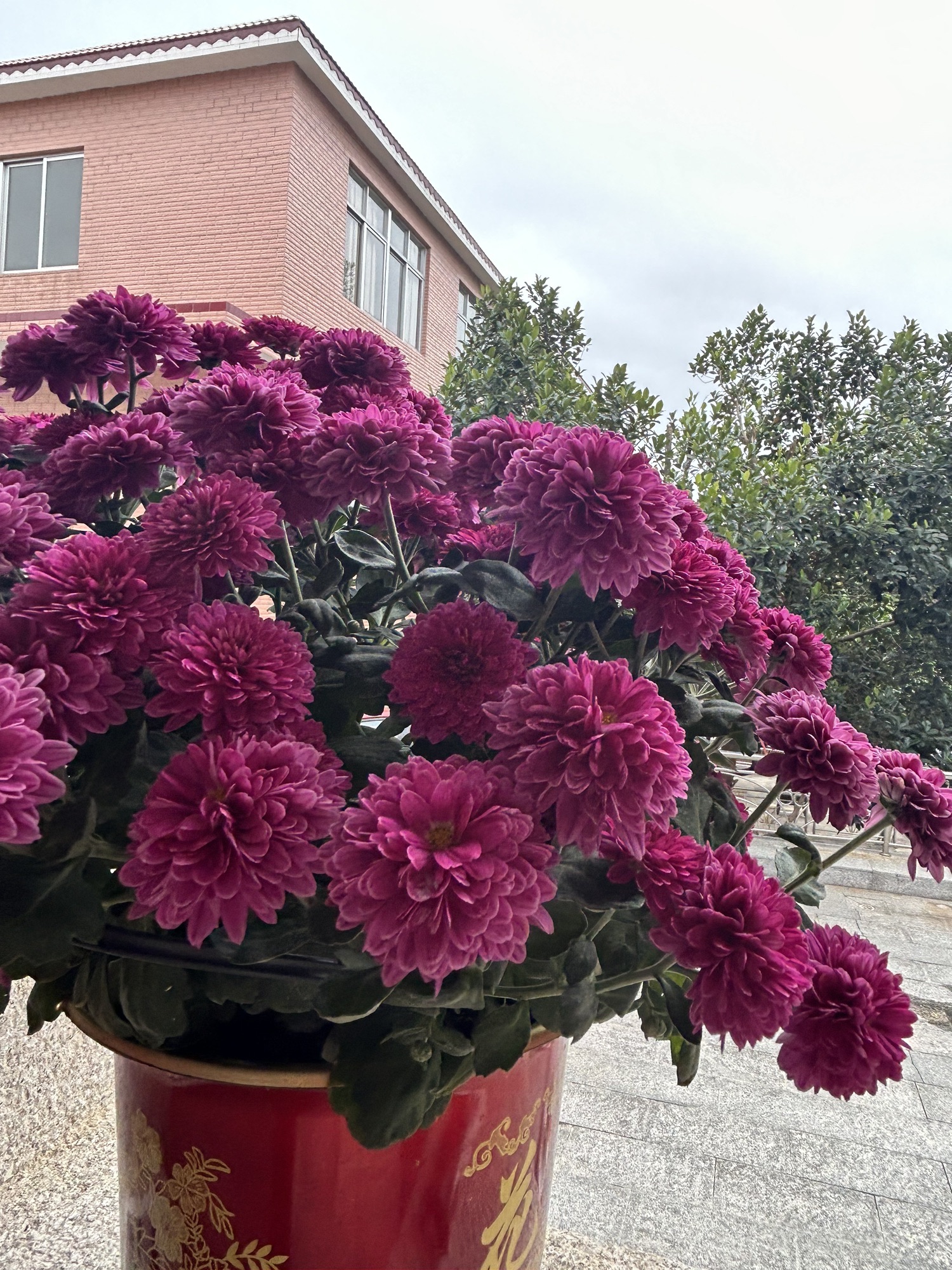 东岳公园旅行图片 3