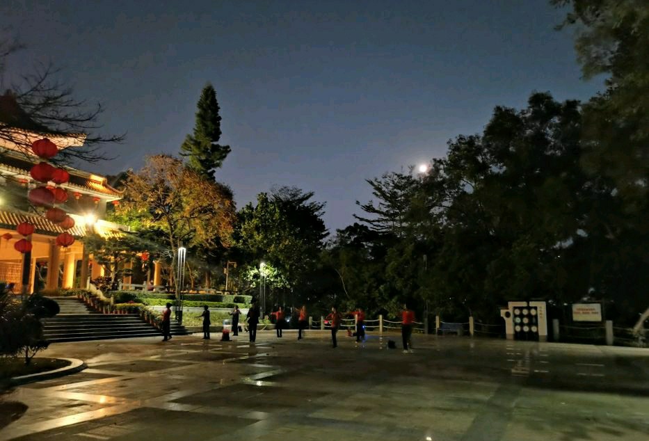 东岳公园旅行图片 3