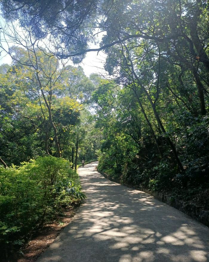 东岳公园旅行图片 1