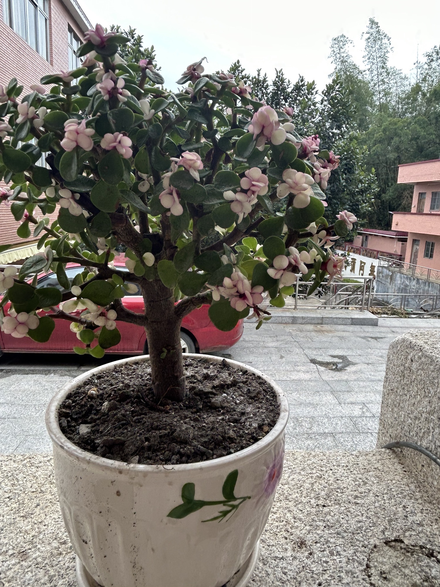 东岳公园旅行图片 2
