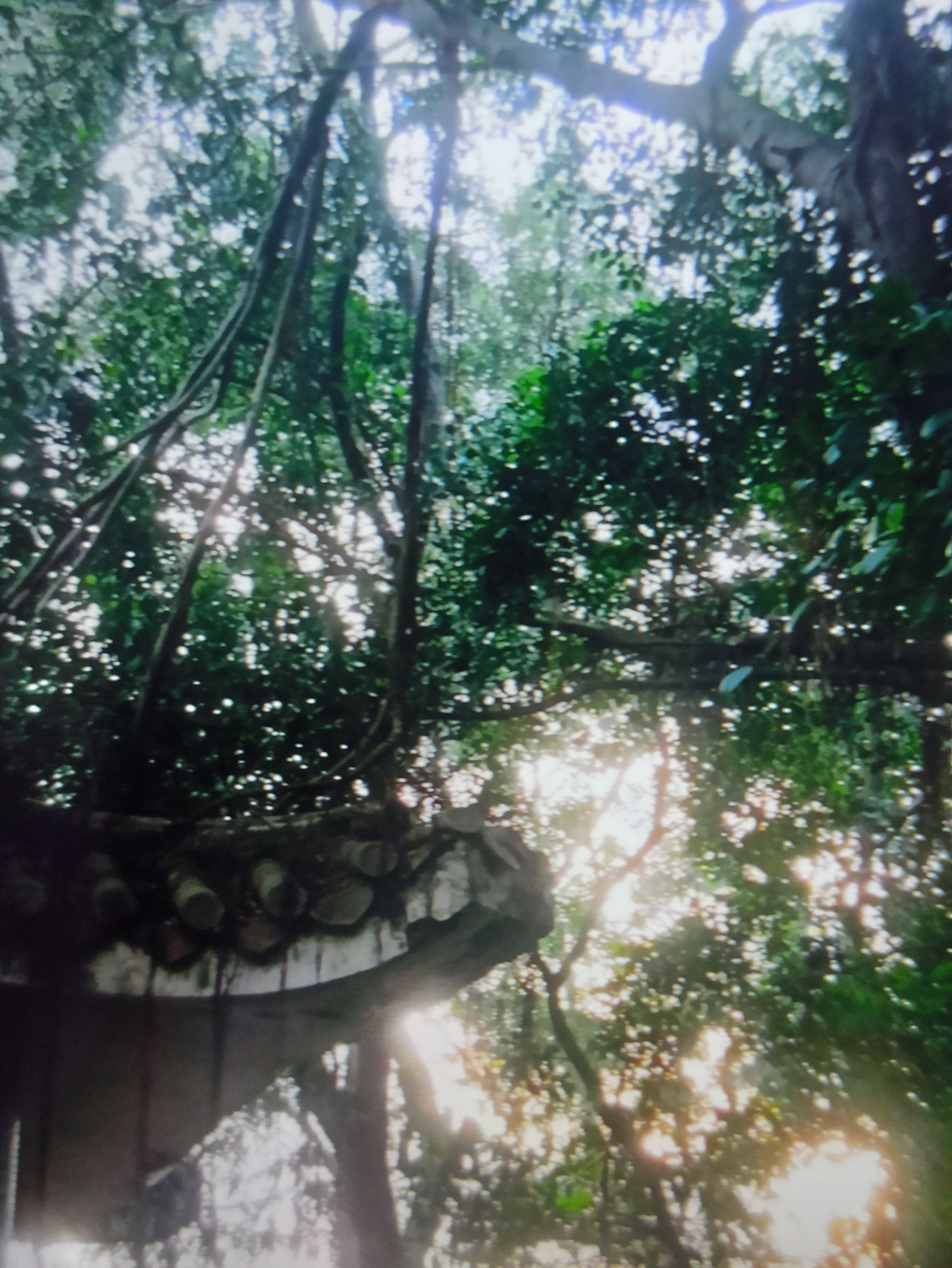东岳公园旅行图片 1