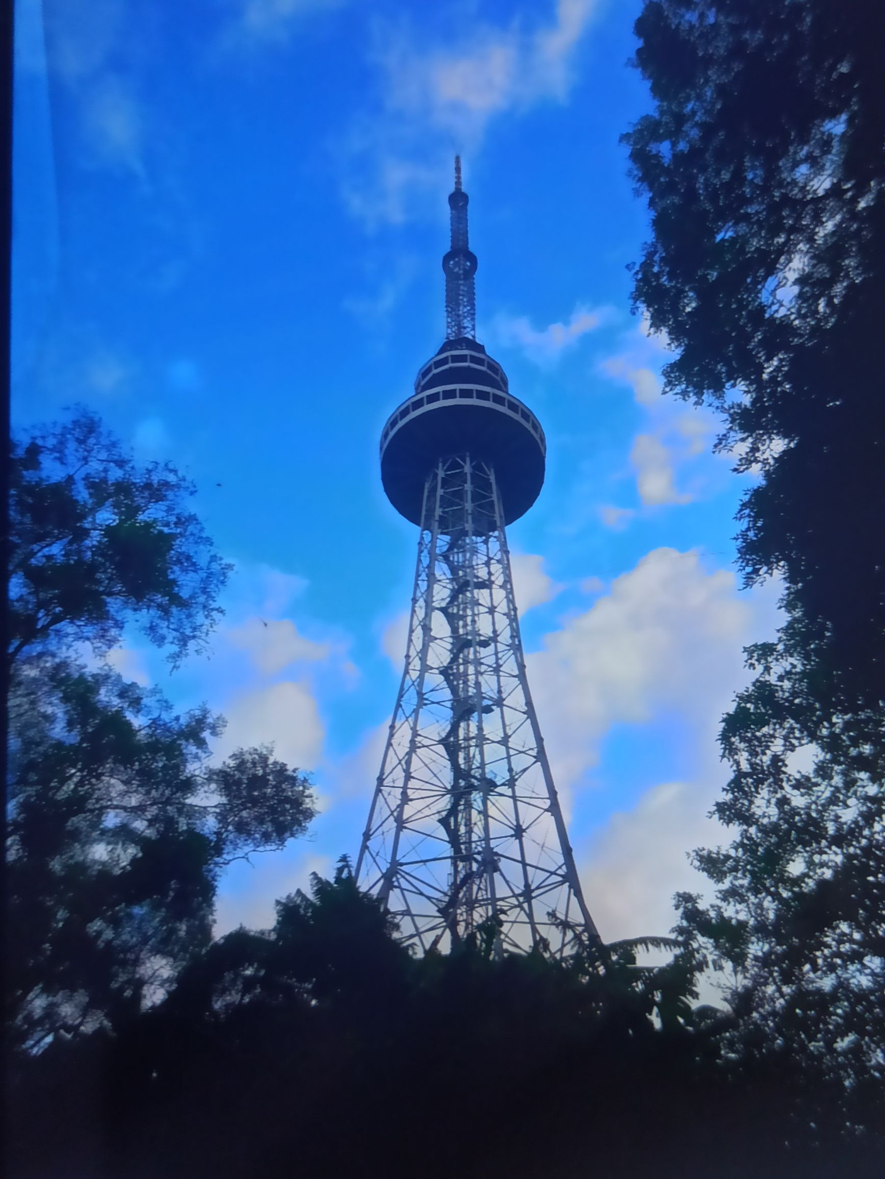 东岳公园旅行图片 3