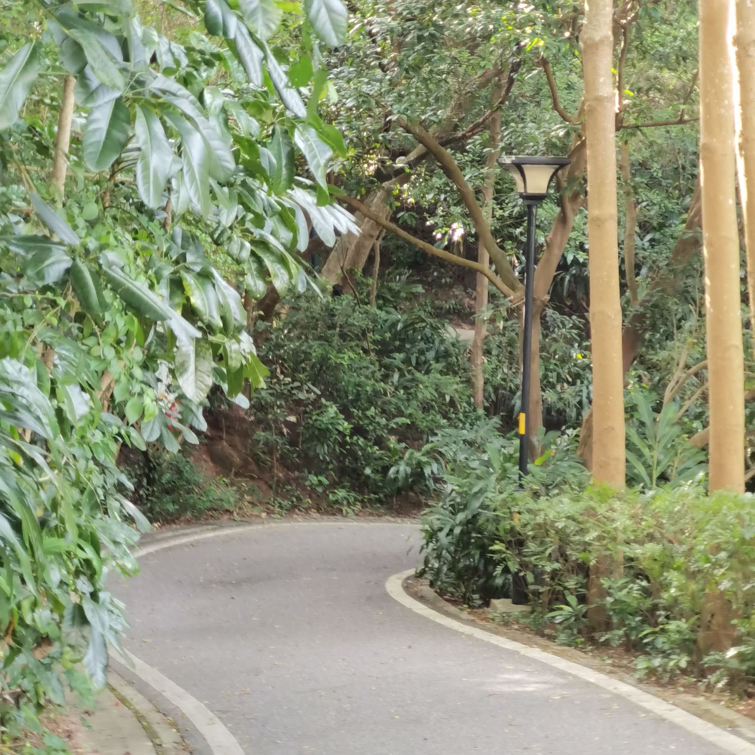 东岳公园旅行图片 1