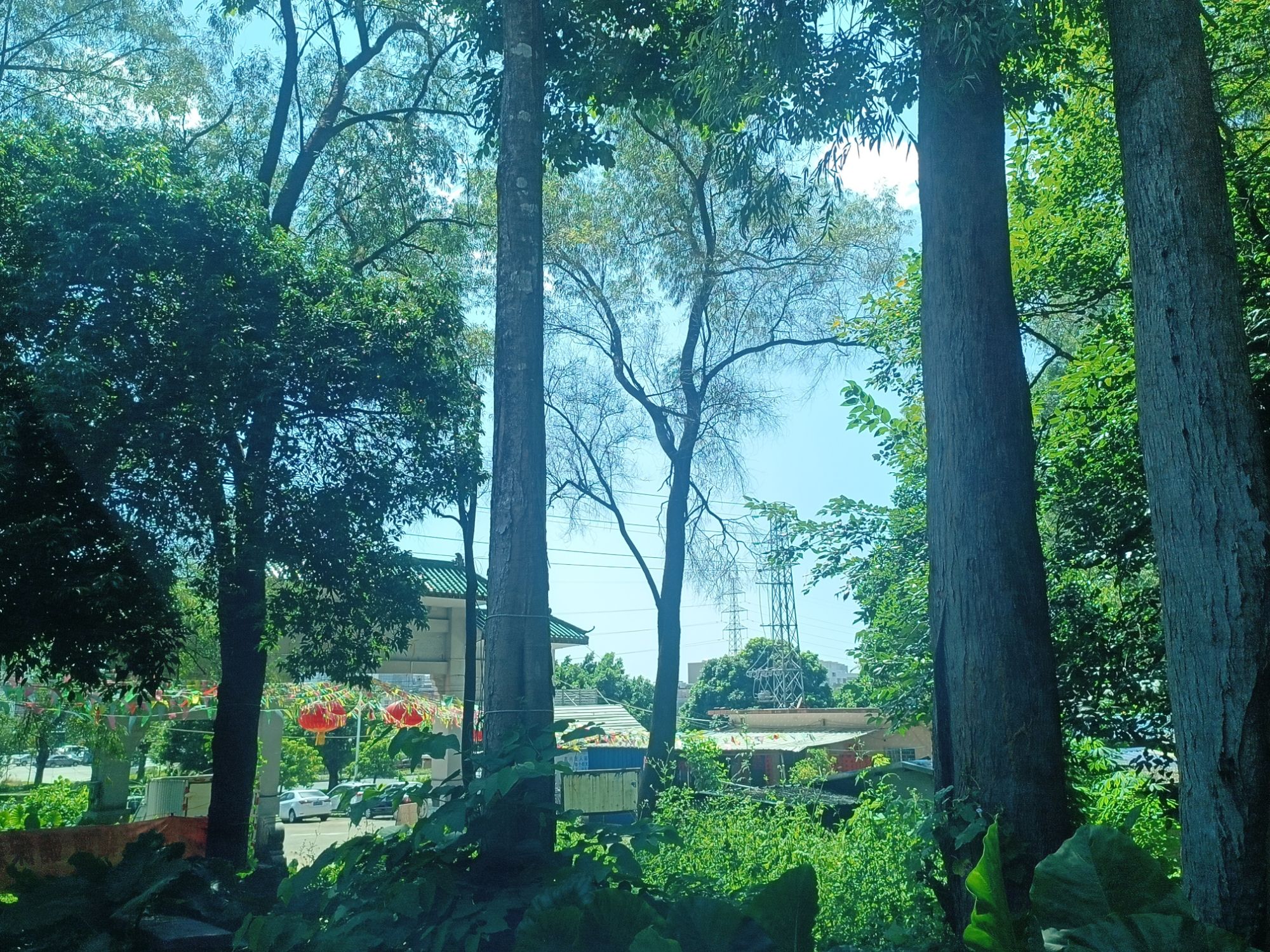 发王山公园旅行图片 2