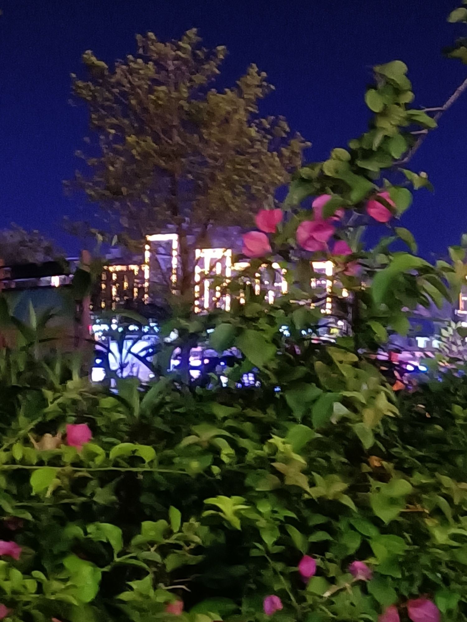 西湖公园旅行图片 2