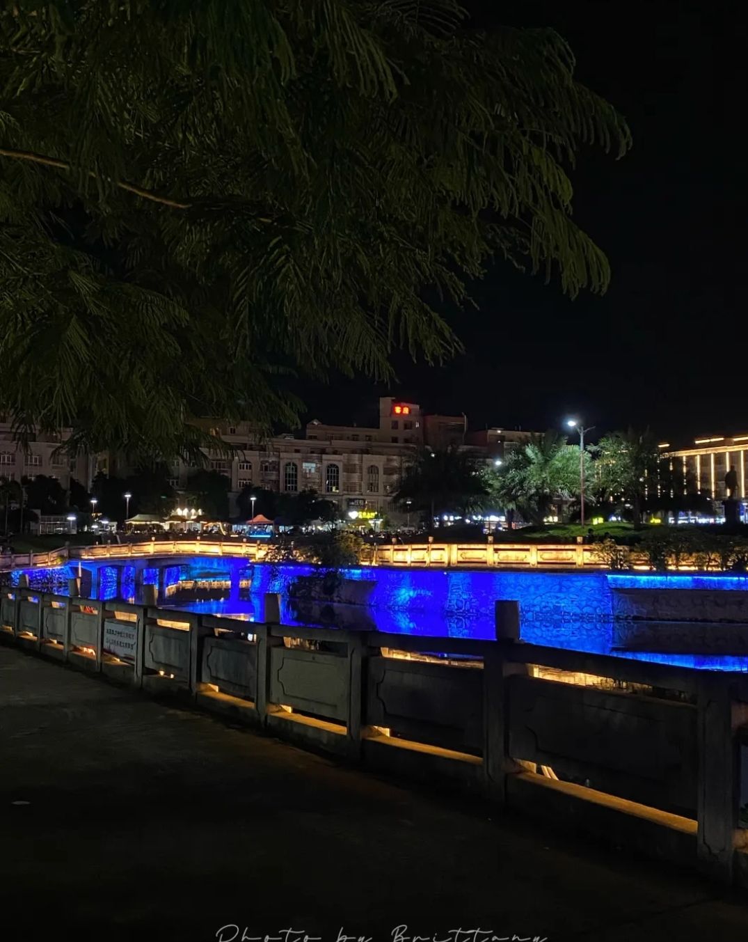 西湖公园旅行图片 1