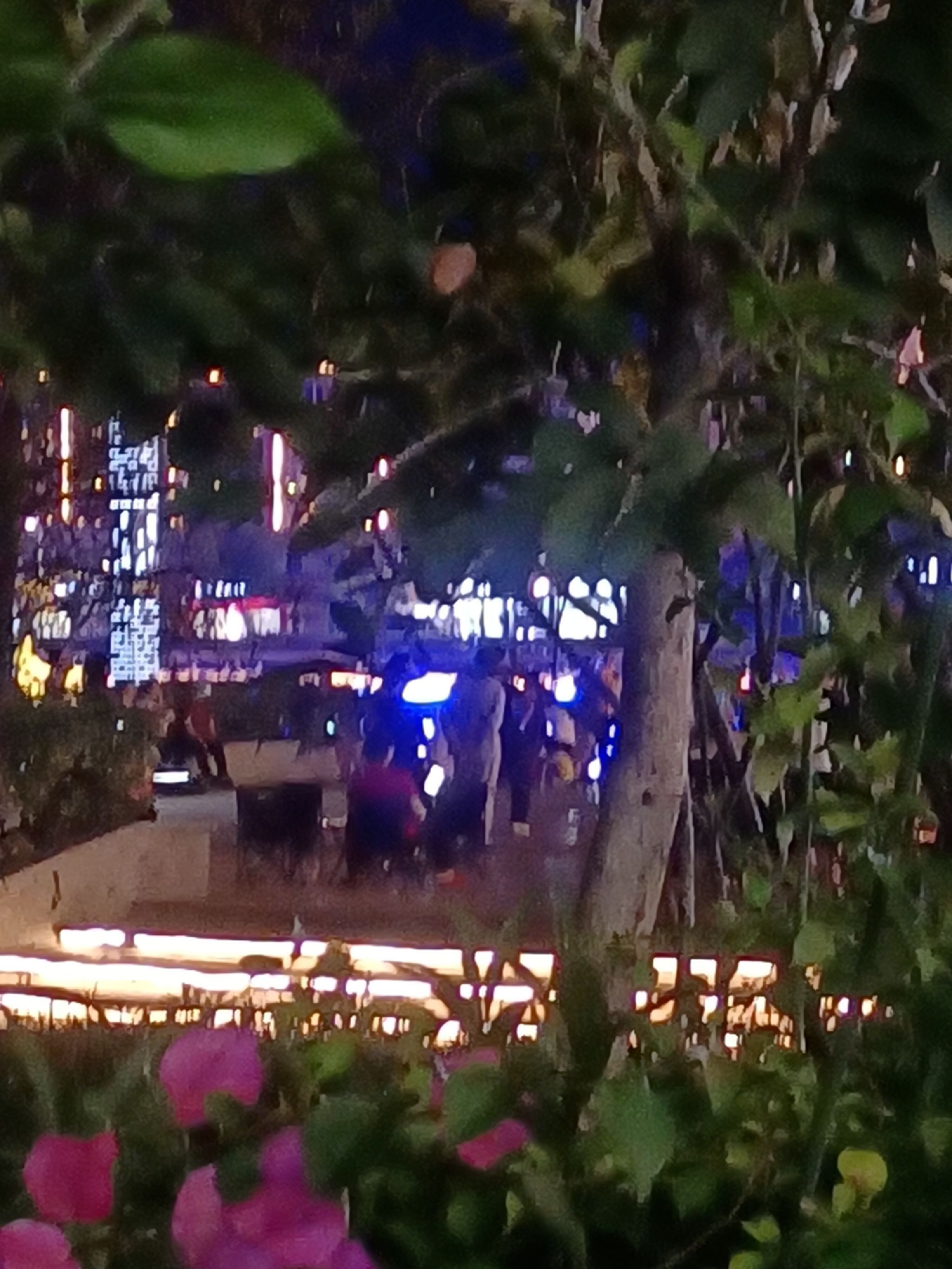 西湖公园旅行图片 1
