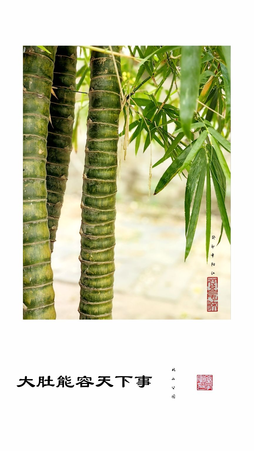 北山公园旅行图片 2