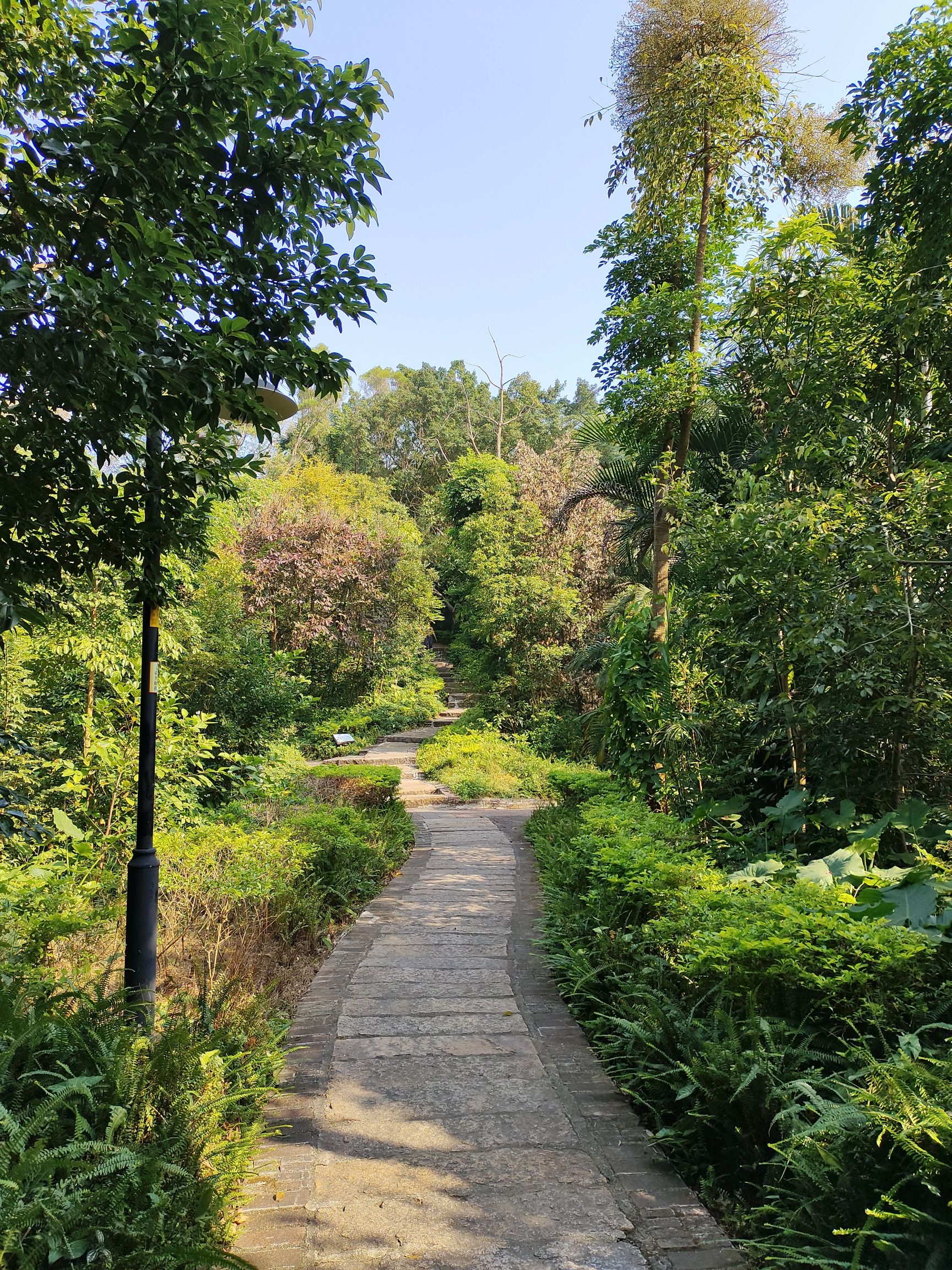 北山公园旅行图片 3