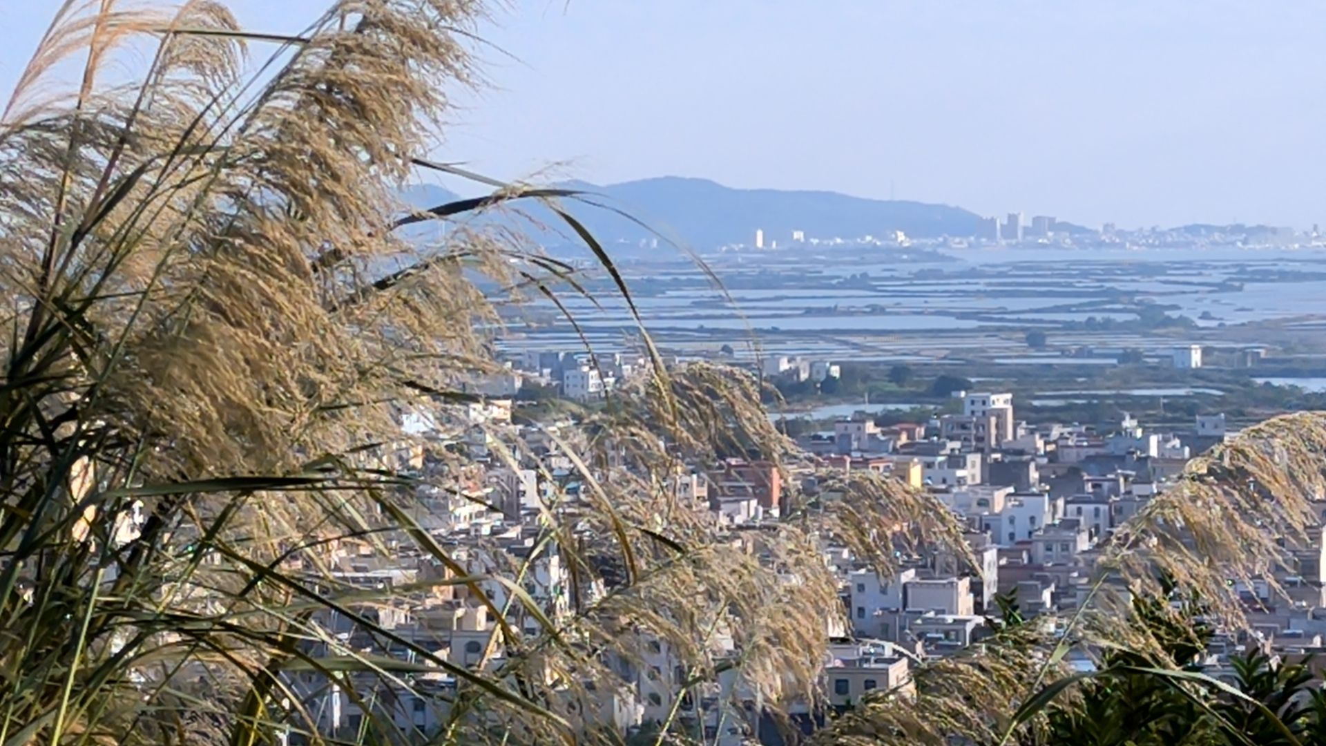 马山公园旅行图片 2