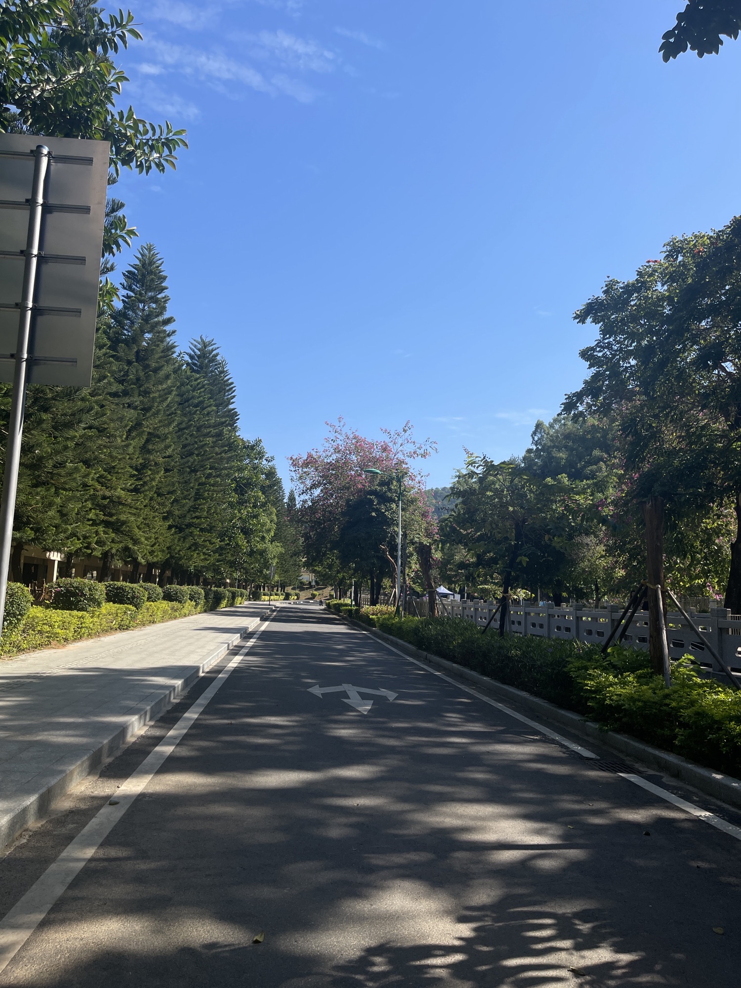 阳春东湖公园旅行图片 3