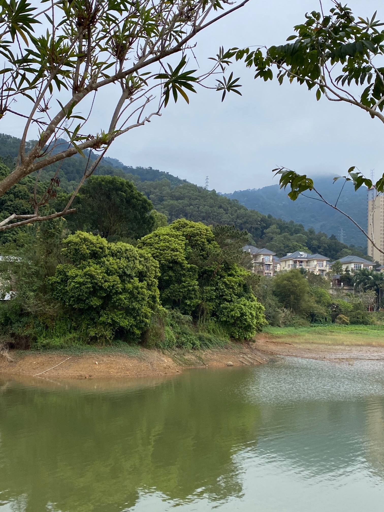 阳春东湖公园旅行图片 3