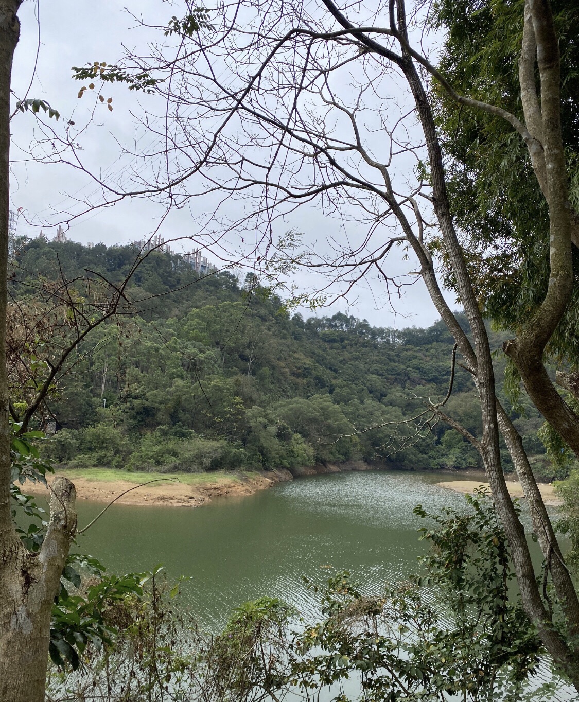 阳春东湖公园旅行图片 2