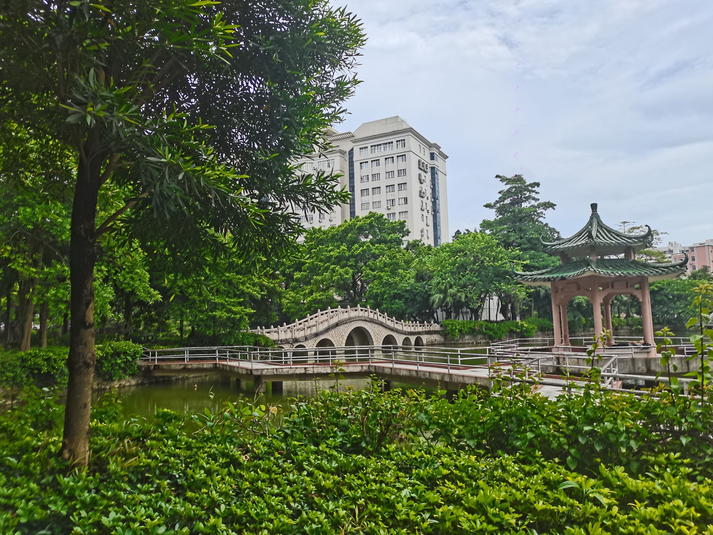春城公园旅行图片 3