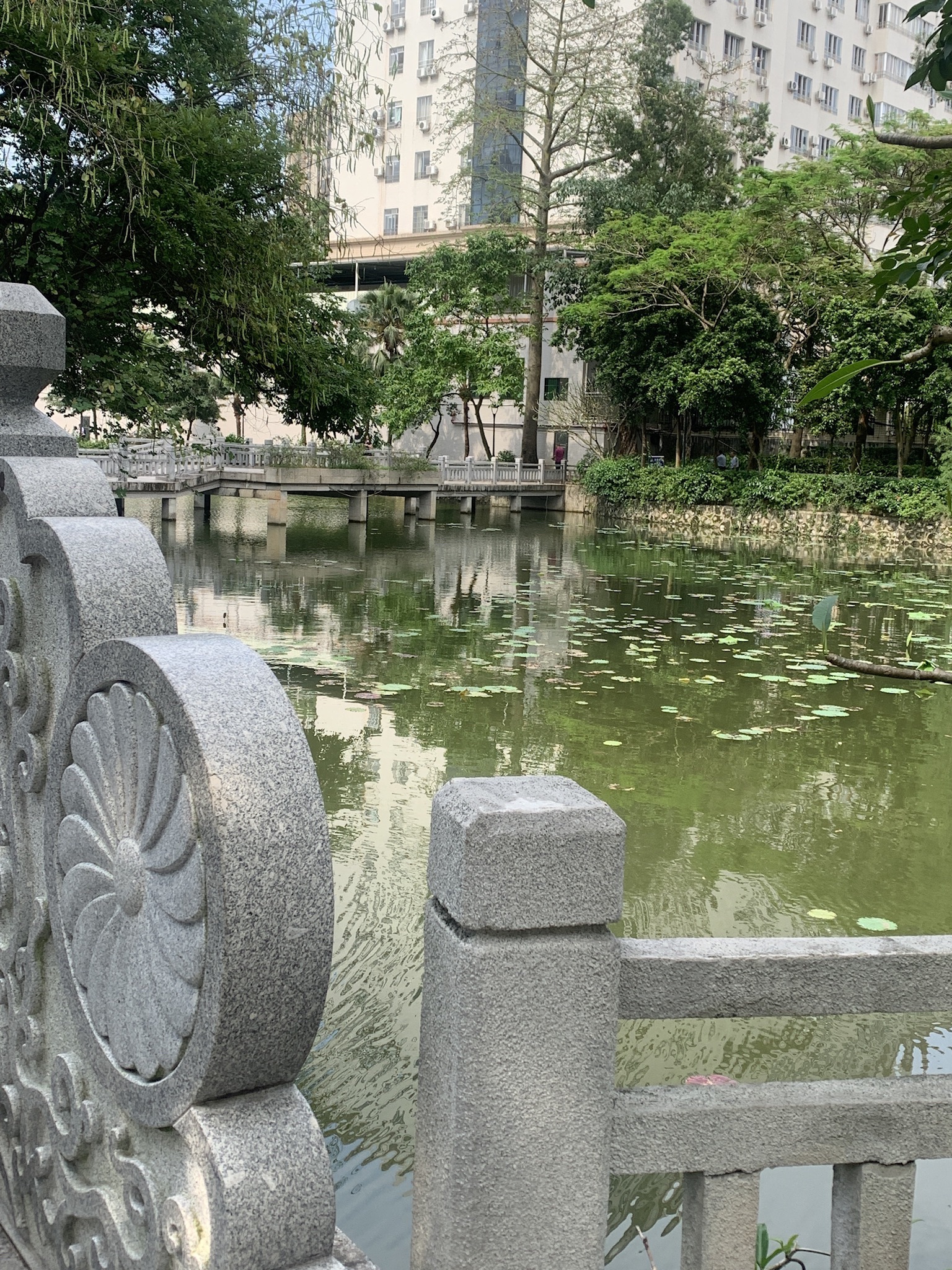 春城公园旅行图片 1