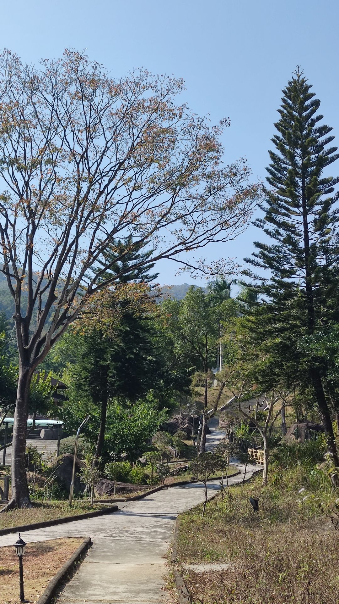 春都温泉度假村旅行图片 3