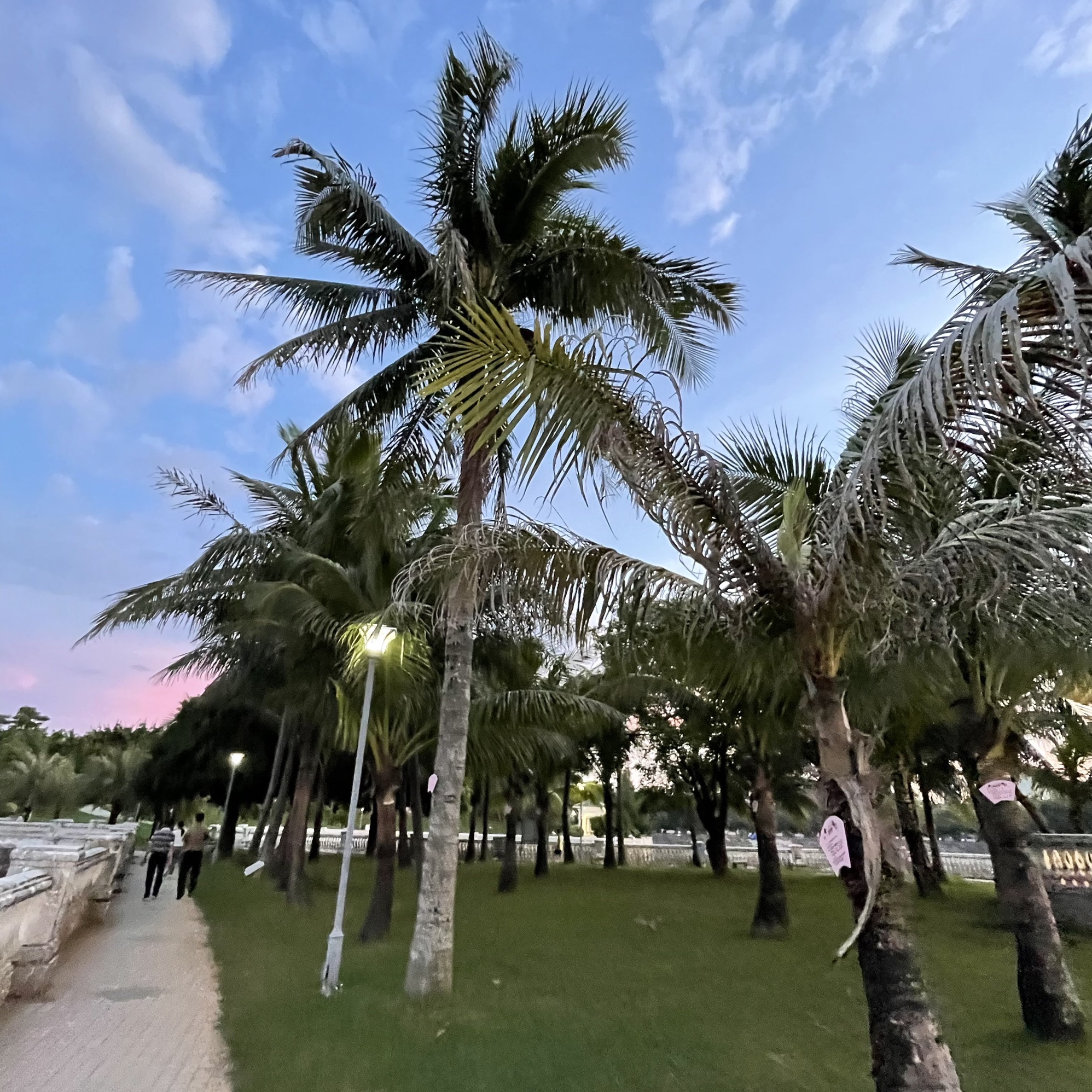 燕山湖生育文化公园旅行图片 1