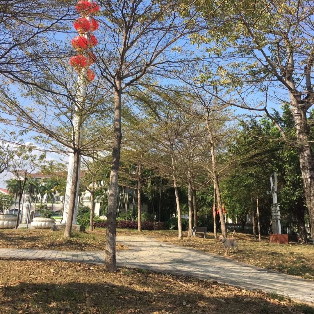 燕山湖生育文化公园旅行图片 1