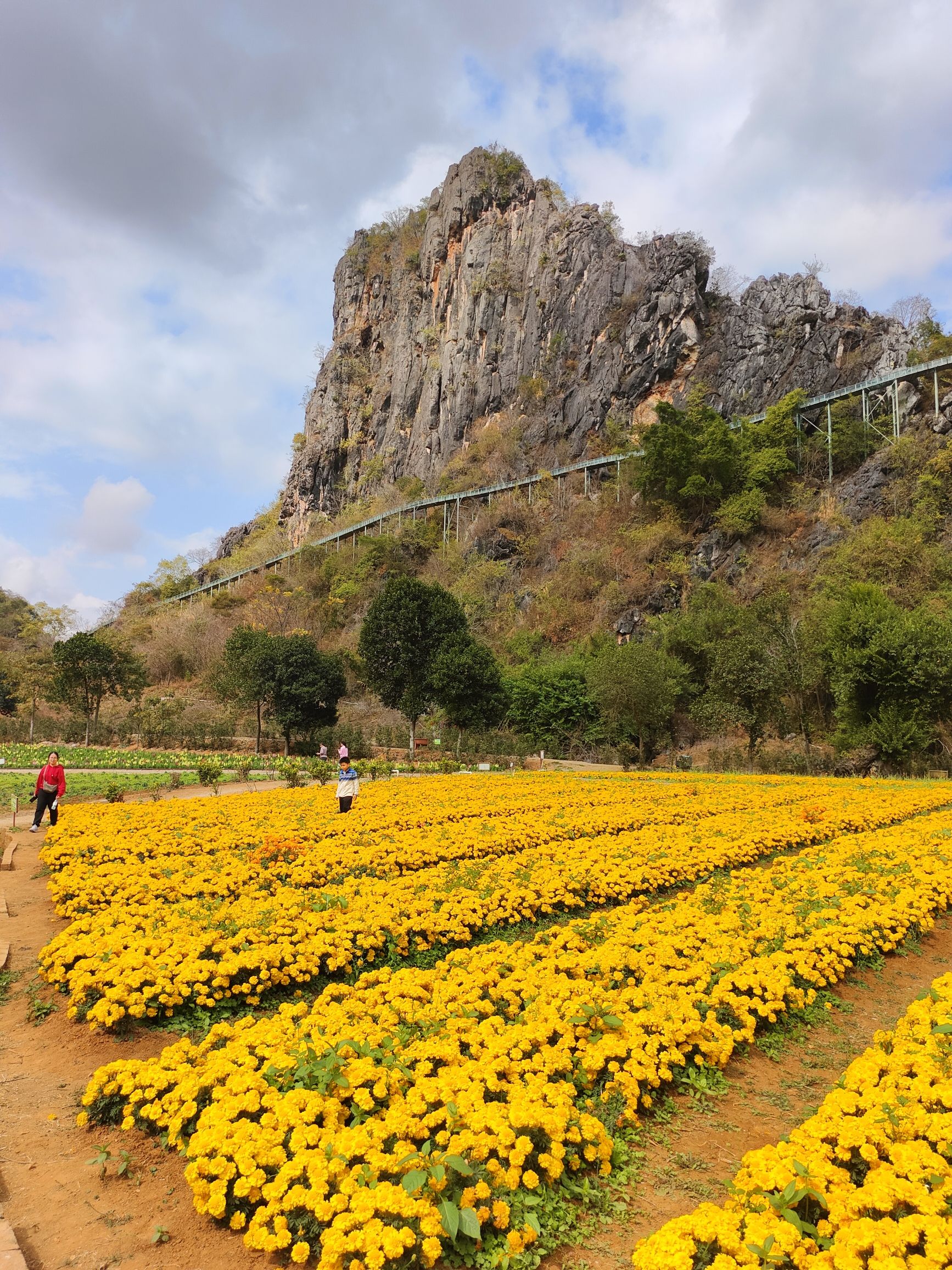 阳春市春湾风景区旅行图片 3