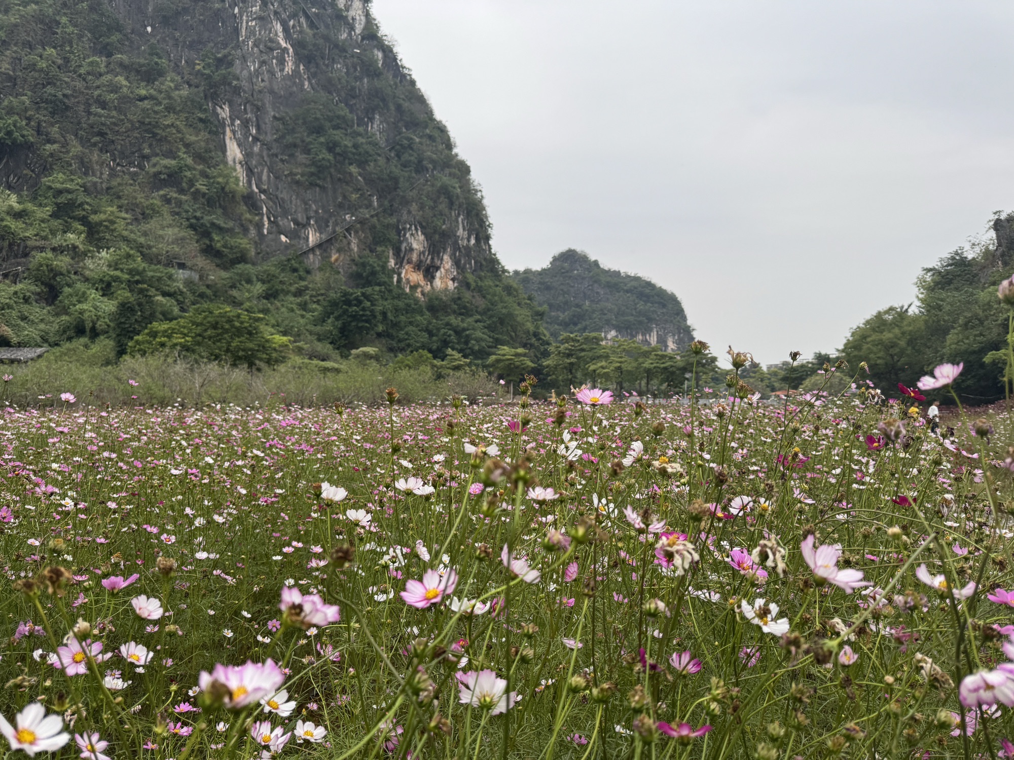 阳春市春湾风景区旅行图片 3