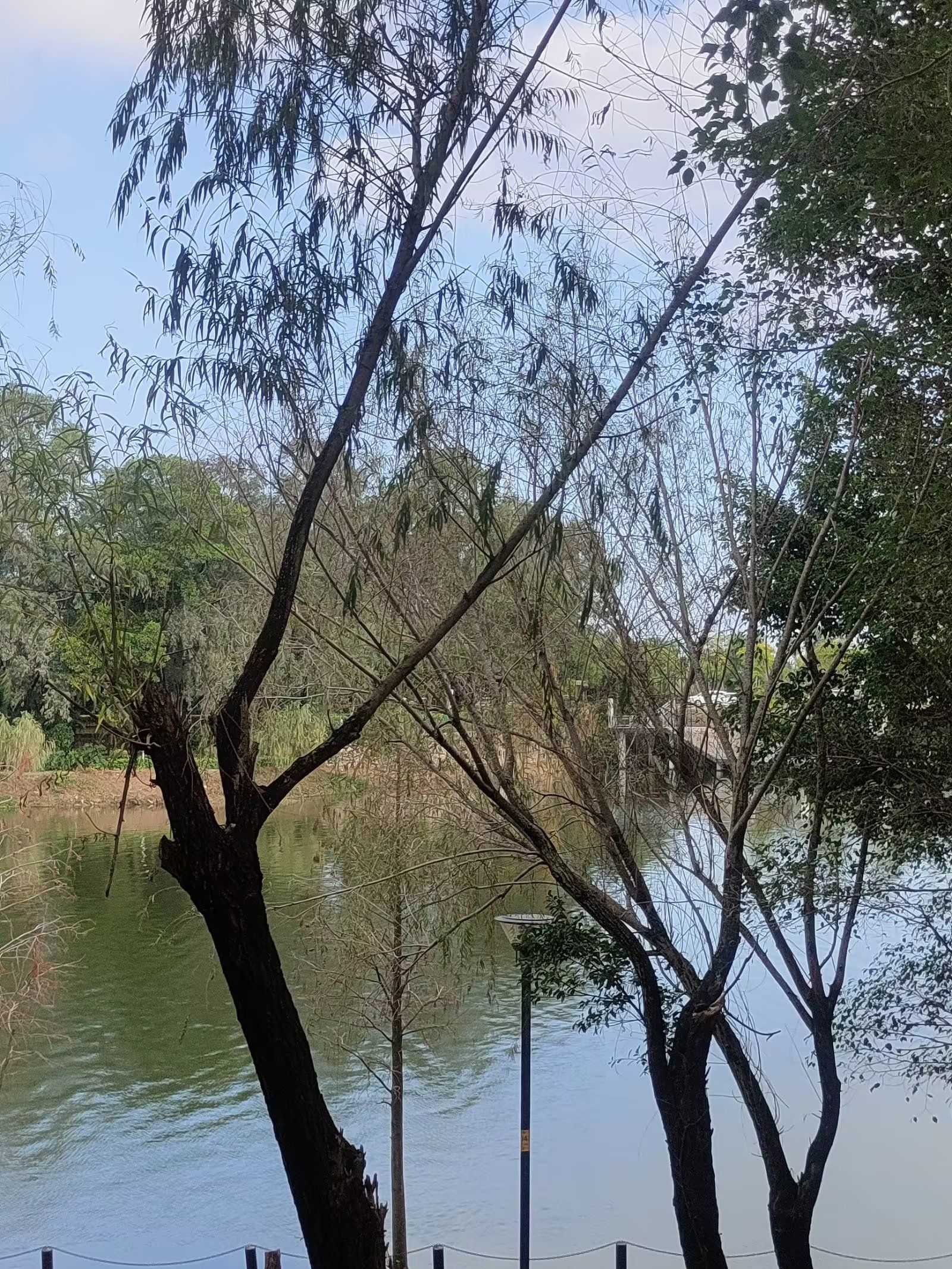 名扬湖畔公园旅行图片 1