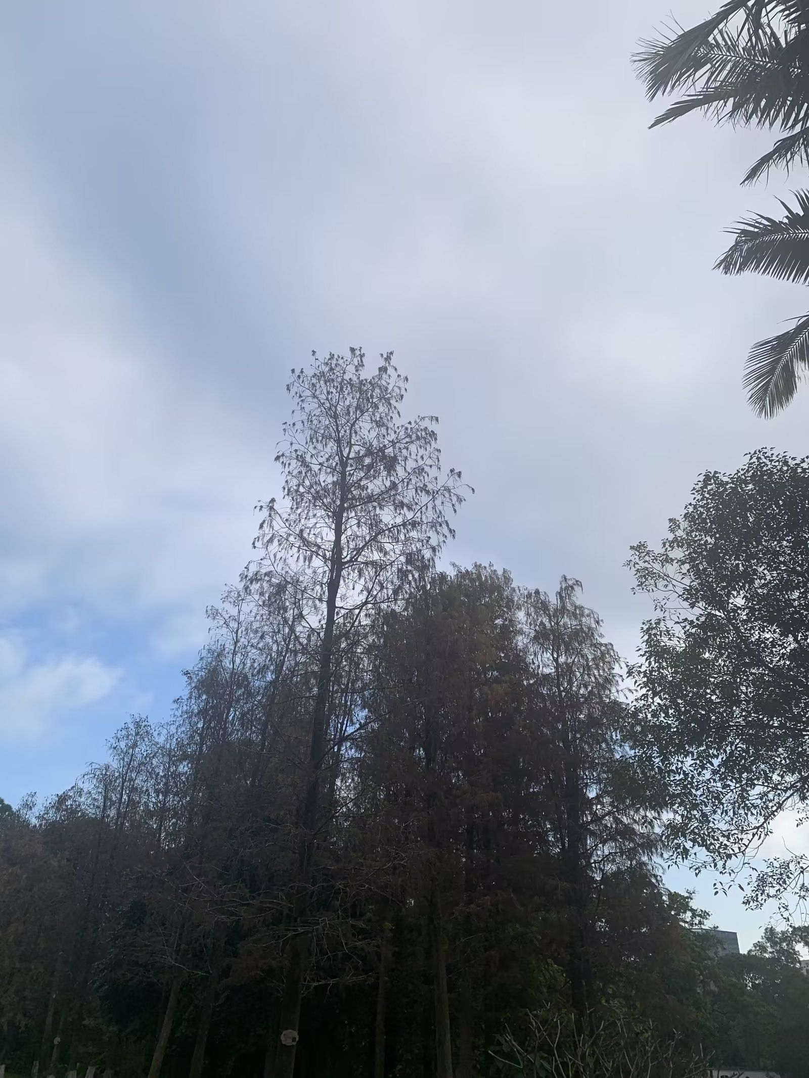 名扬湖畔公园旅行图片 2