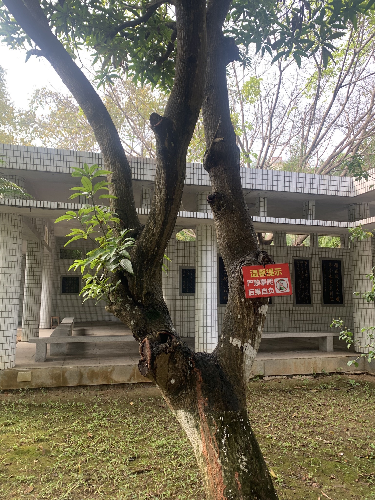 滨江公园旅行图片 1