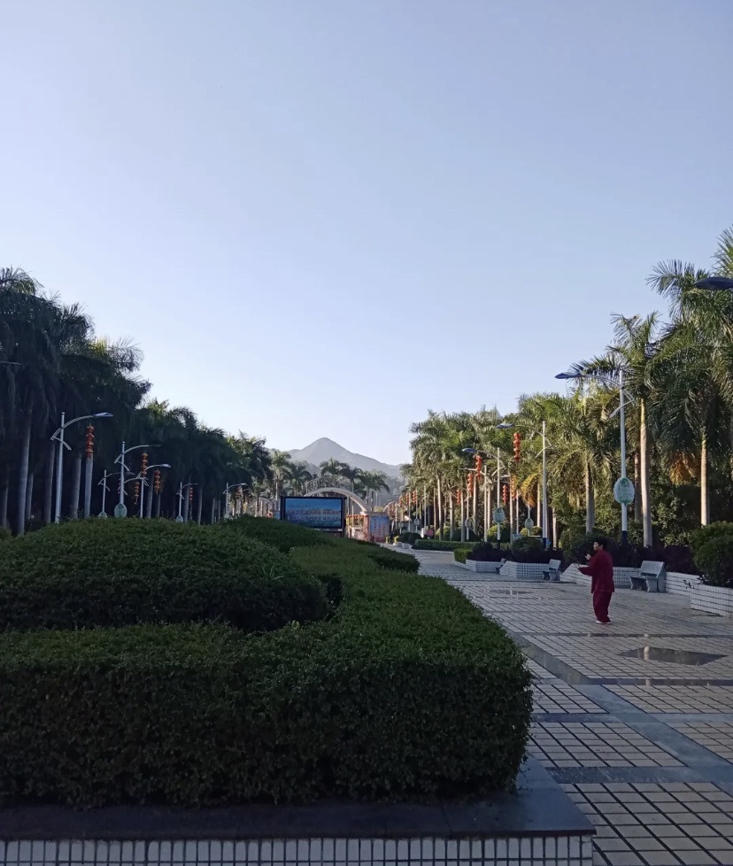 滨江公园旅行图片 3