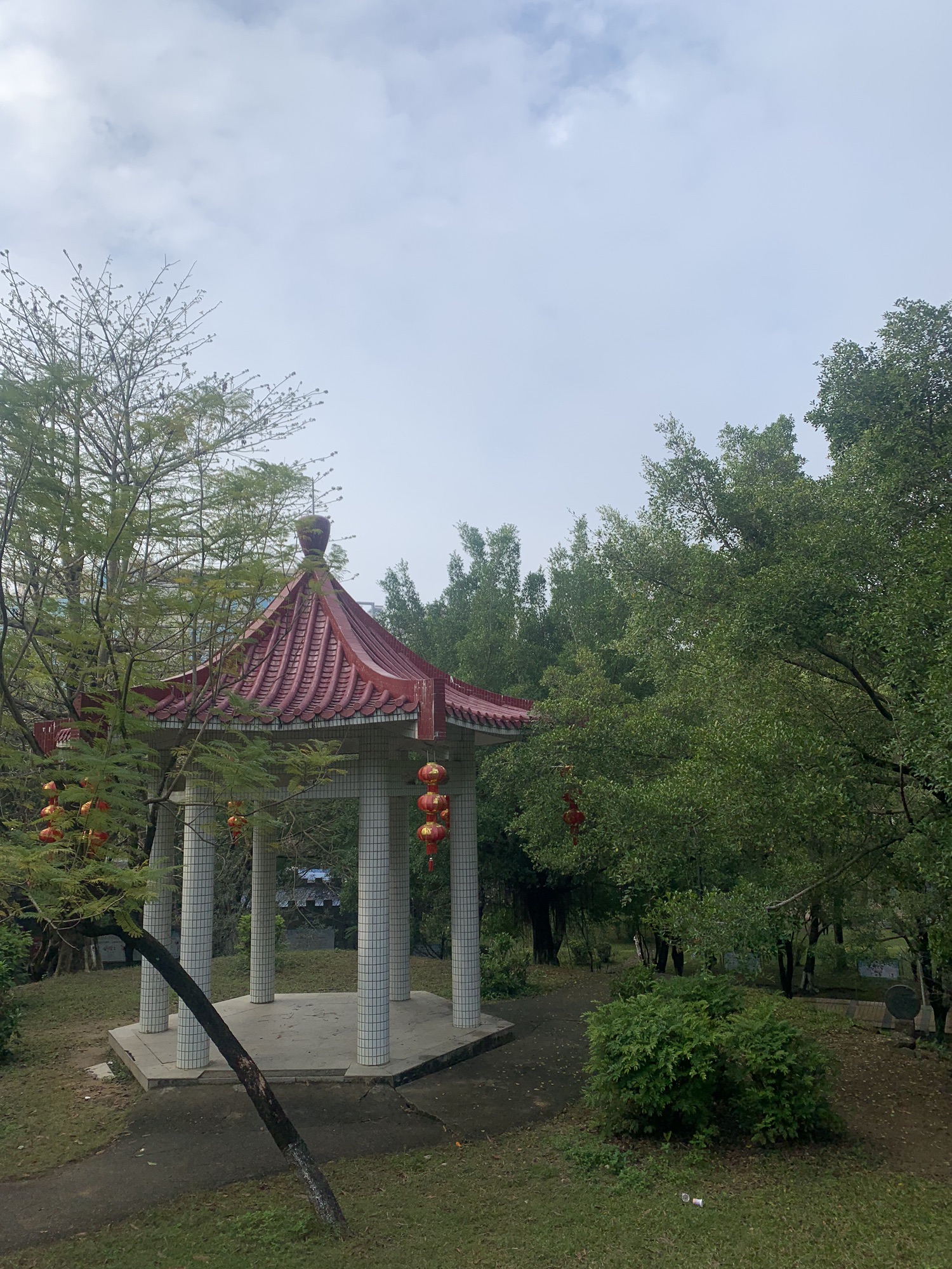 滨江公园旅行图片 3