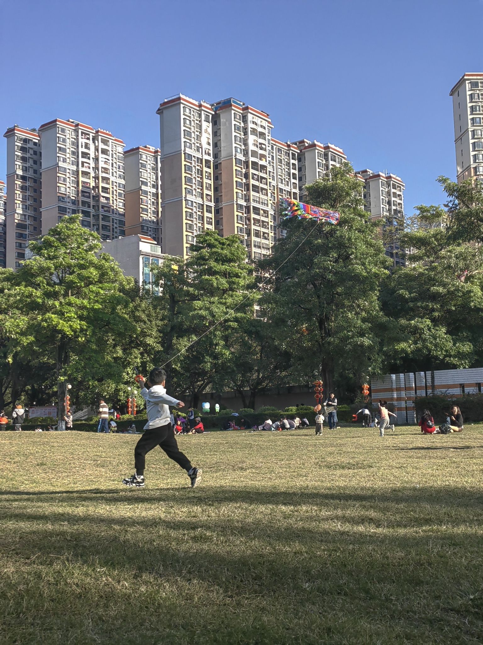滨江公园旅行图片 2