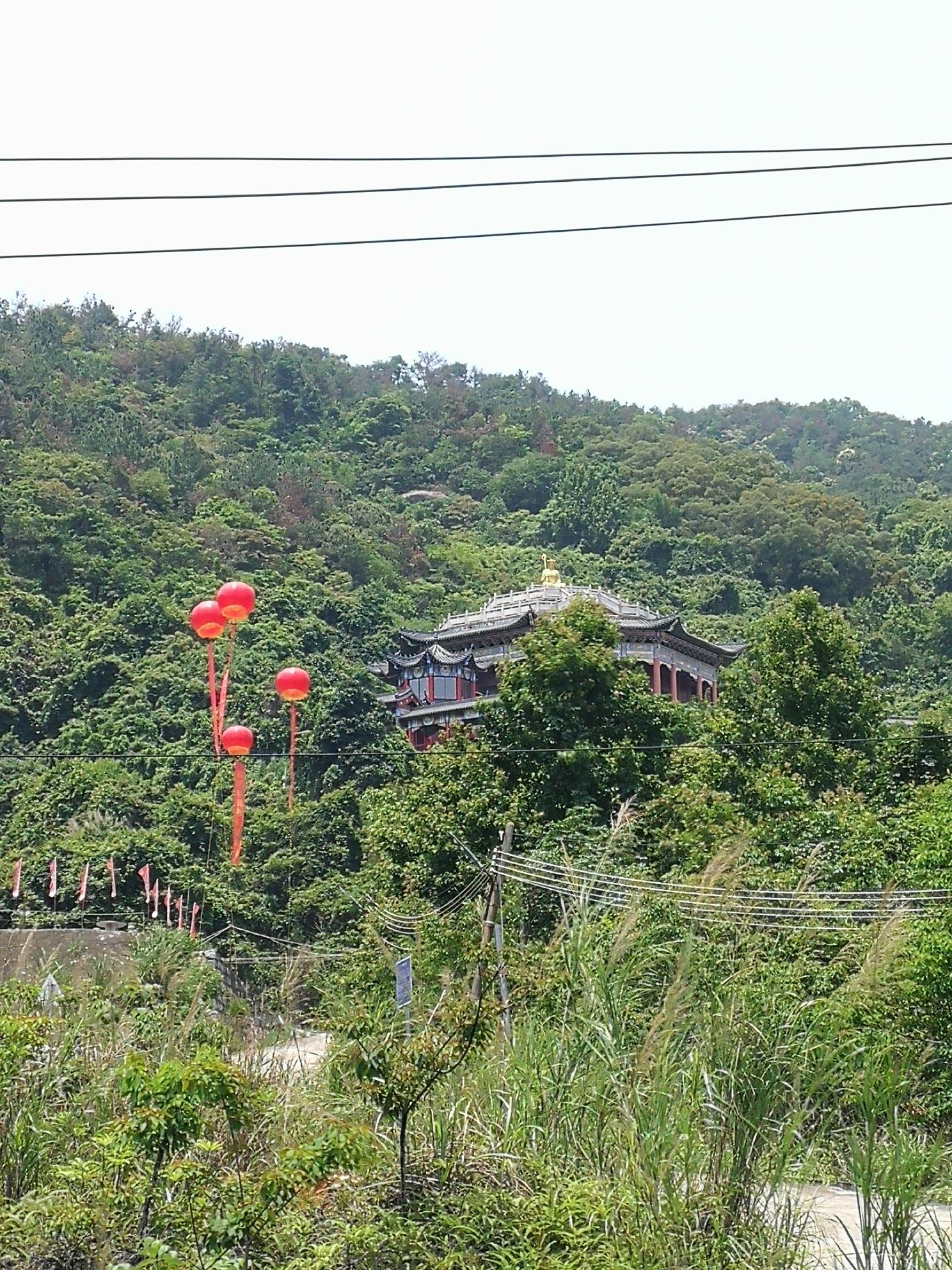 凤隐岩旅行图片 1