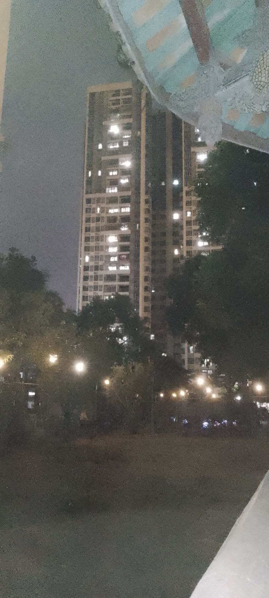 榕江公园旅行图片 1