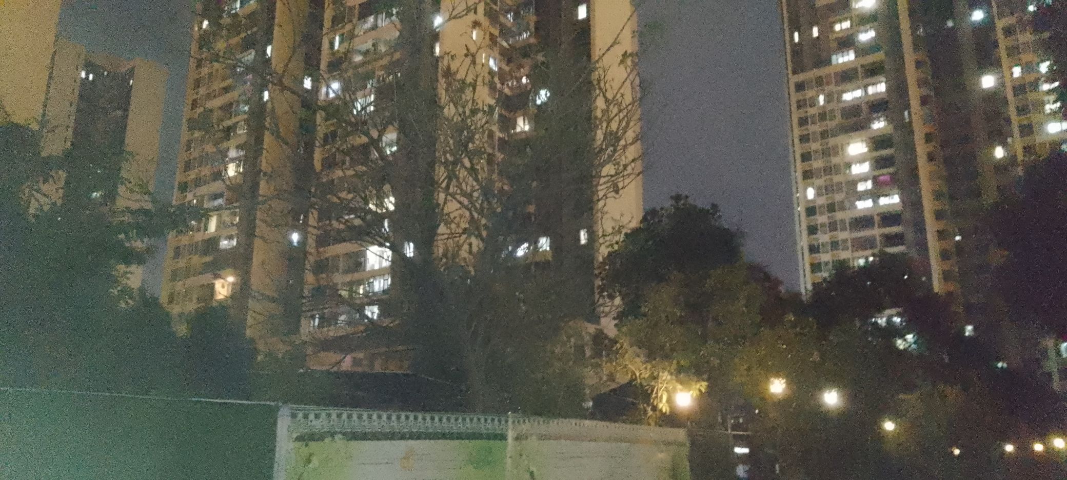 榕江公园旅行图片 2