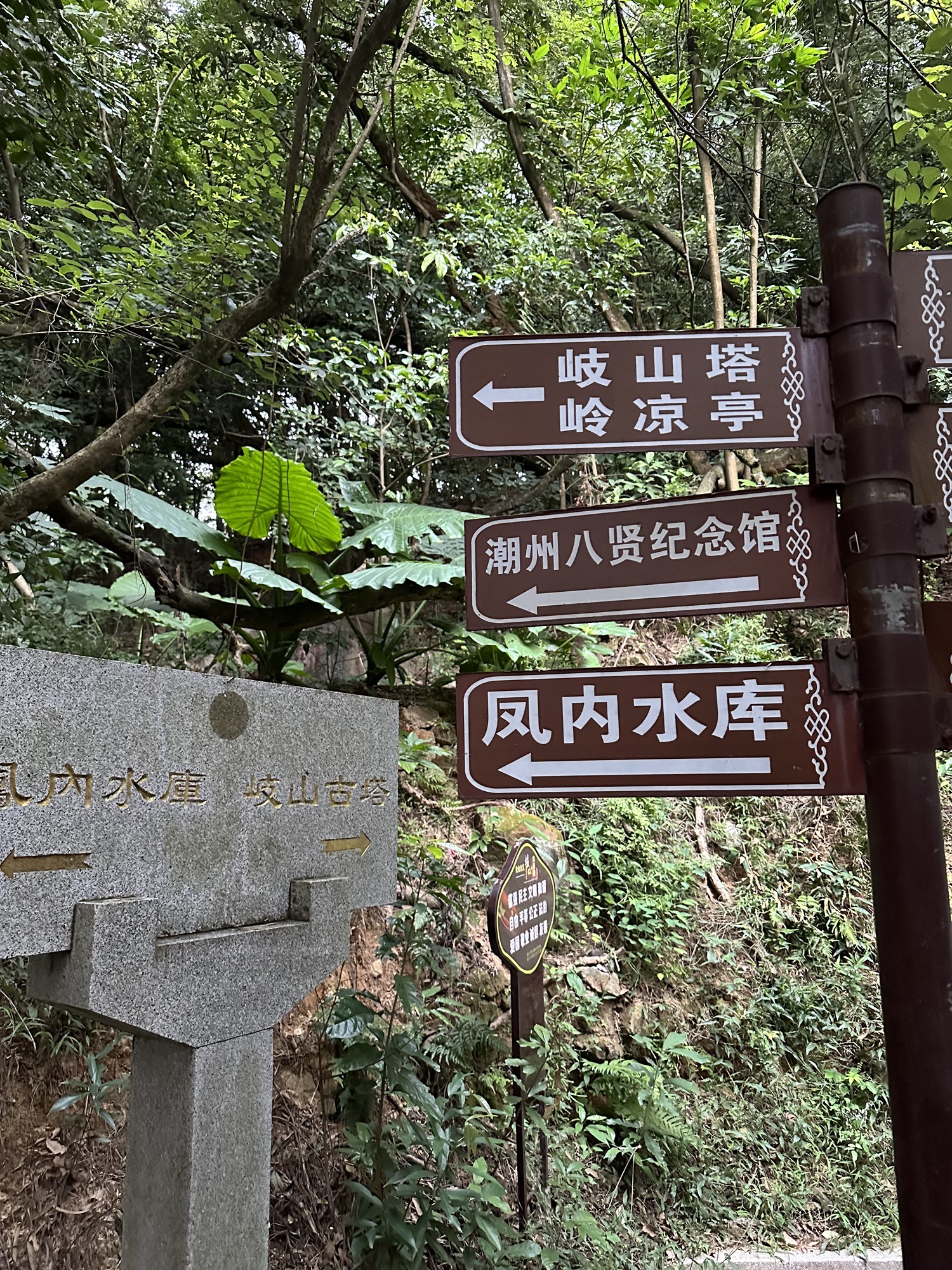 黄岐山森林公园旅行图片 3