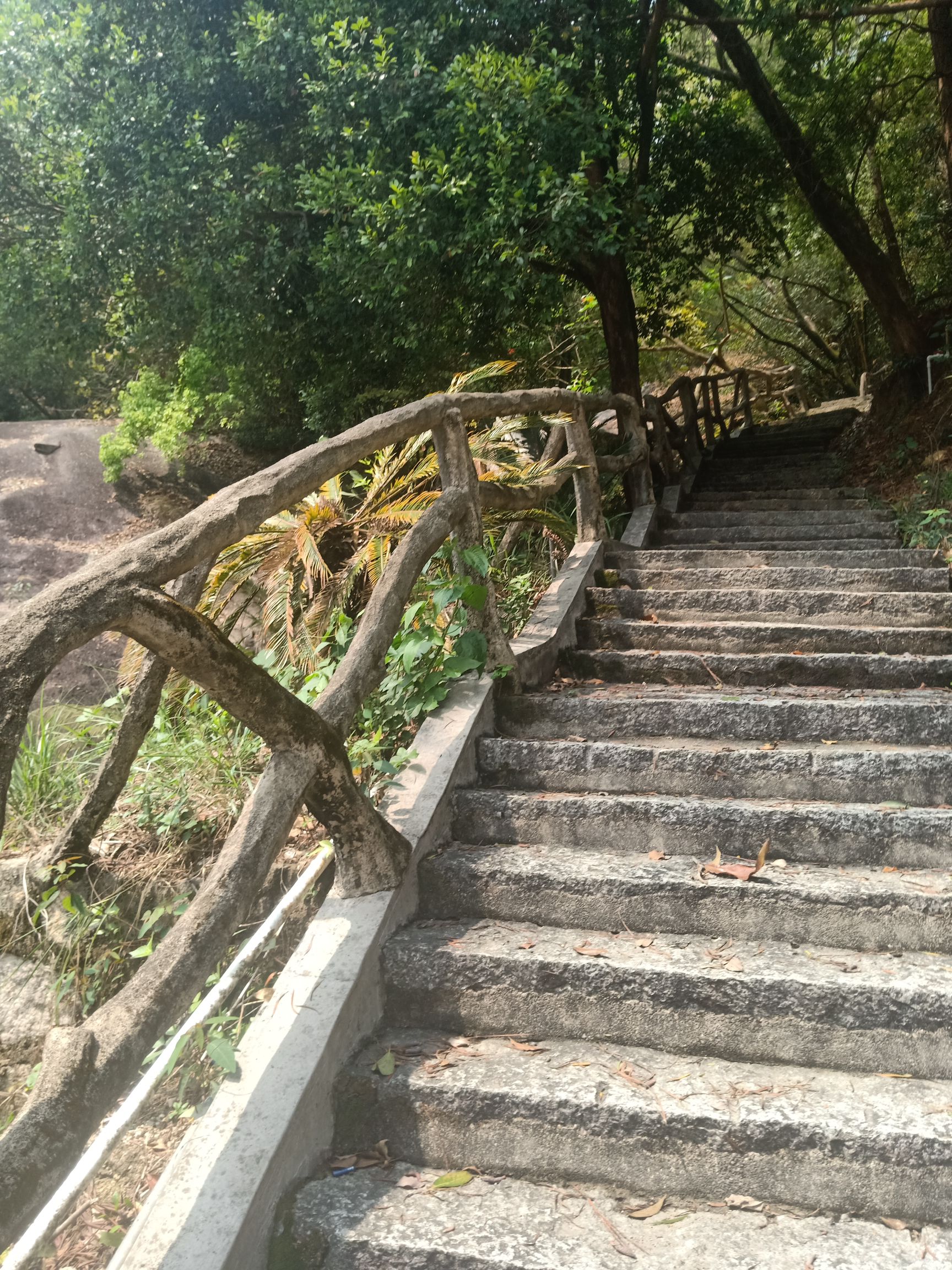 天竺岩旅行图片 3