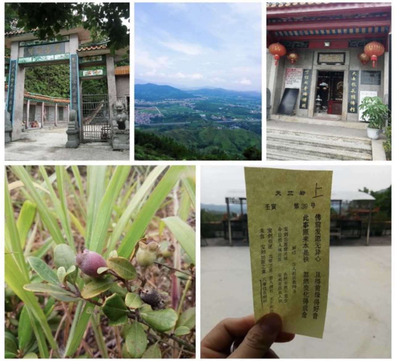 天竺岩旅行图片 2