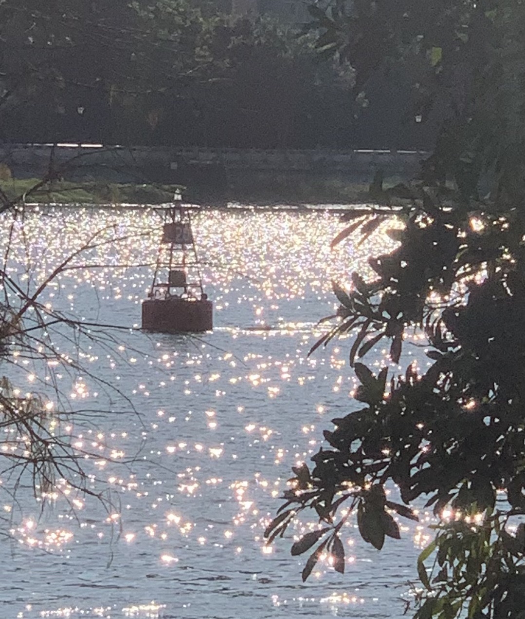 青年文化广场旅行图片 1