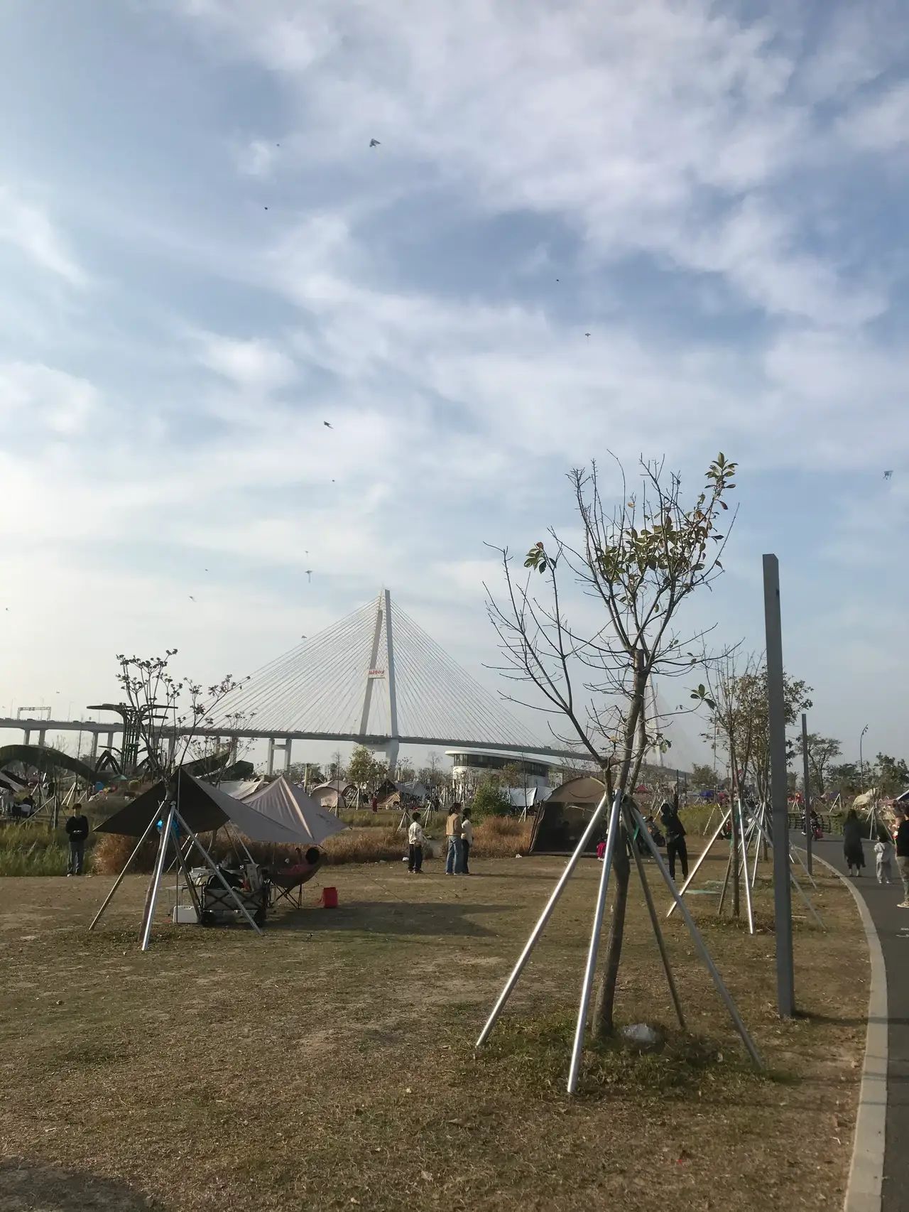 万竹园旅行图片 2
