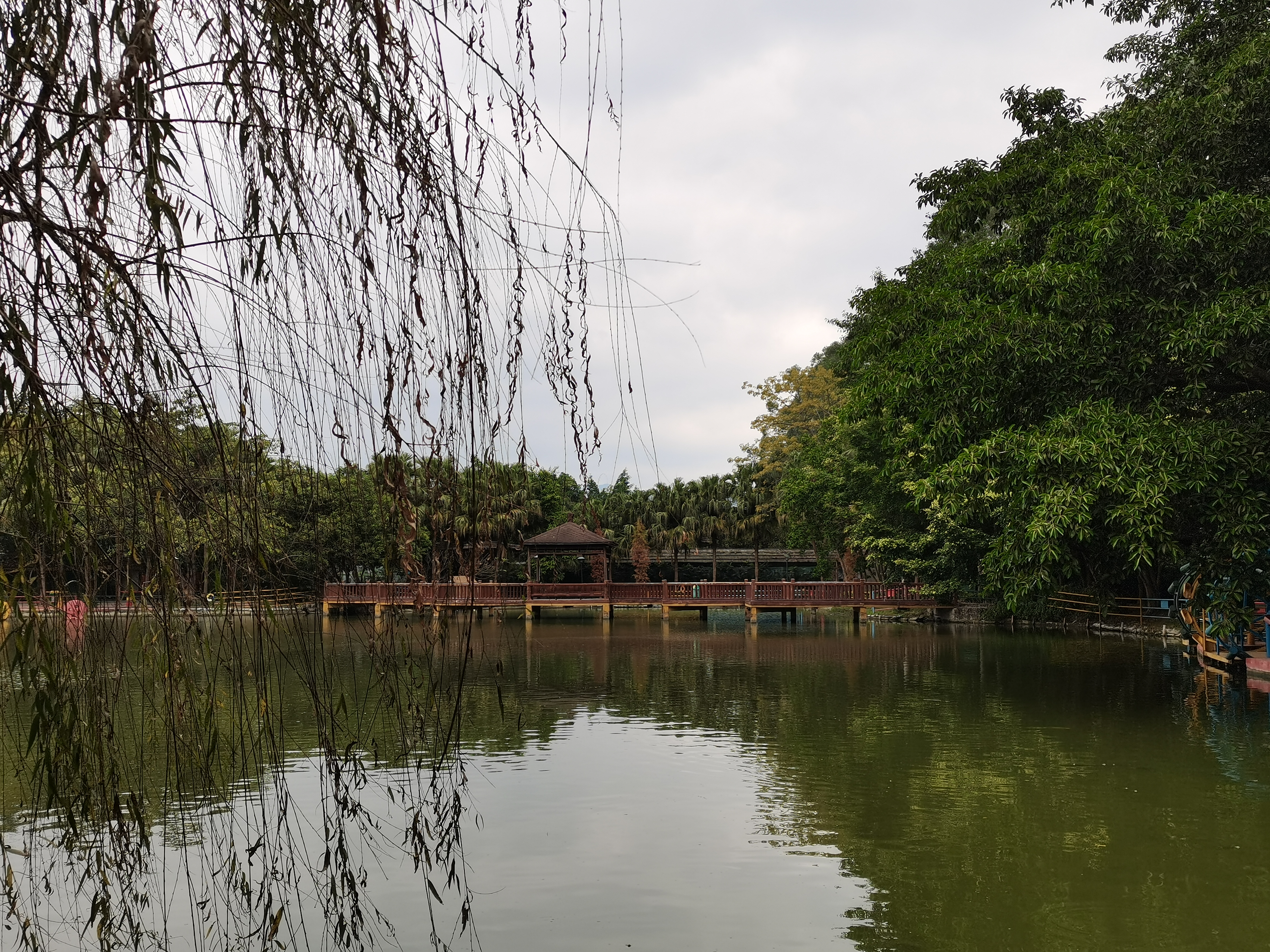 广宁万竹园风景图片