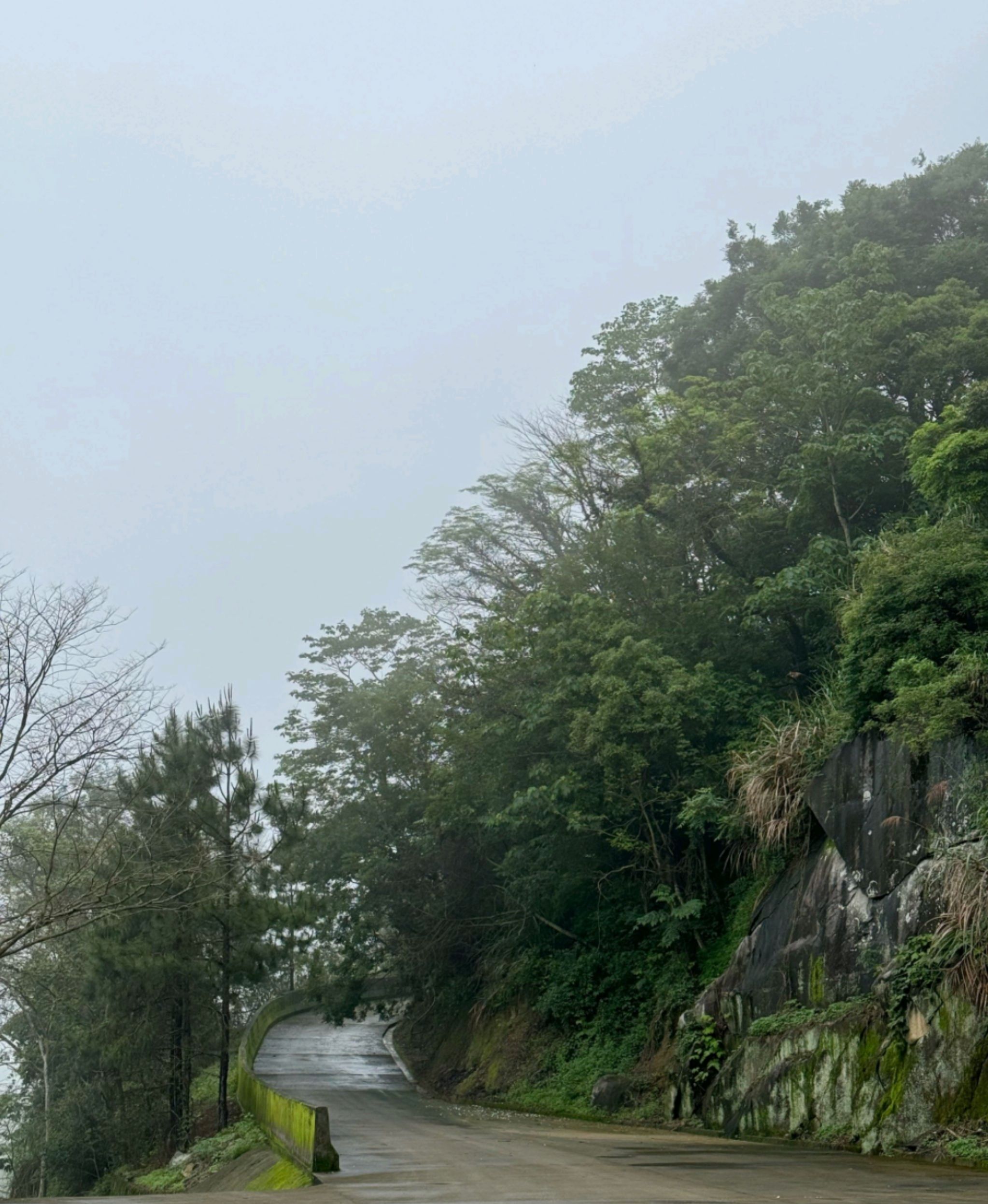 开口石风景区旅行图片 3