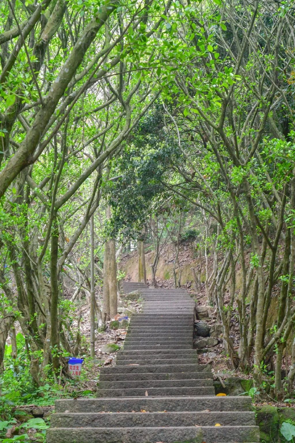 风门古径旅行图片 1
