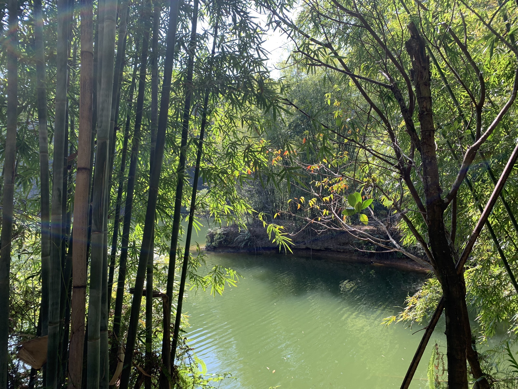京明温泉度假村旅行图片 2