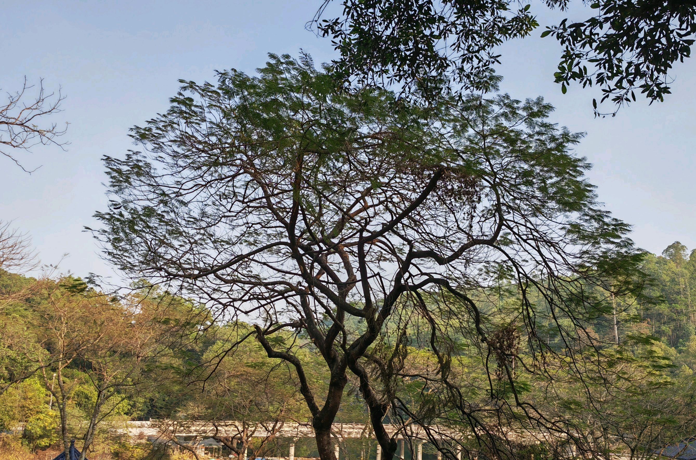 京明温泉度假村旅行图片 2