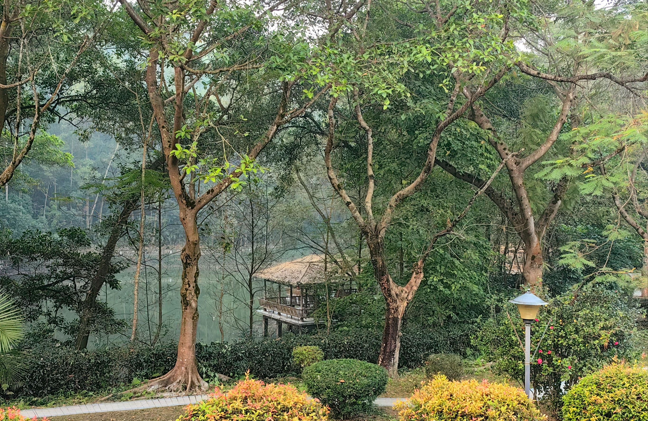 京明温泉度假村旅行图片 3