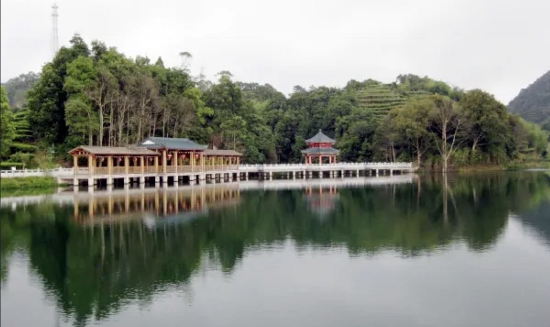 大北山森林公园旅行图片 2