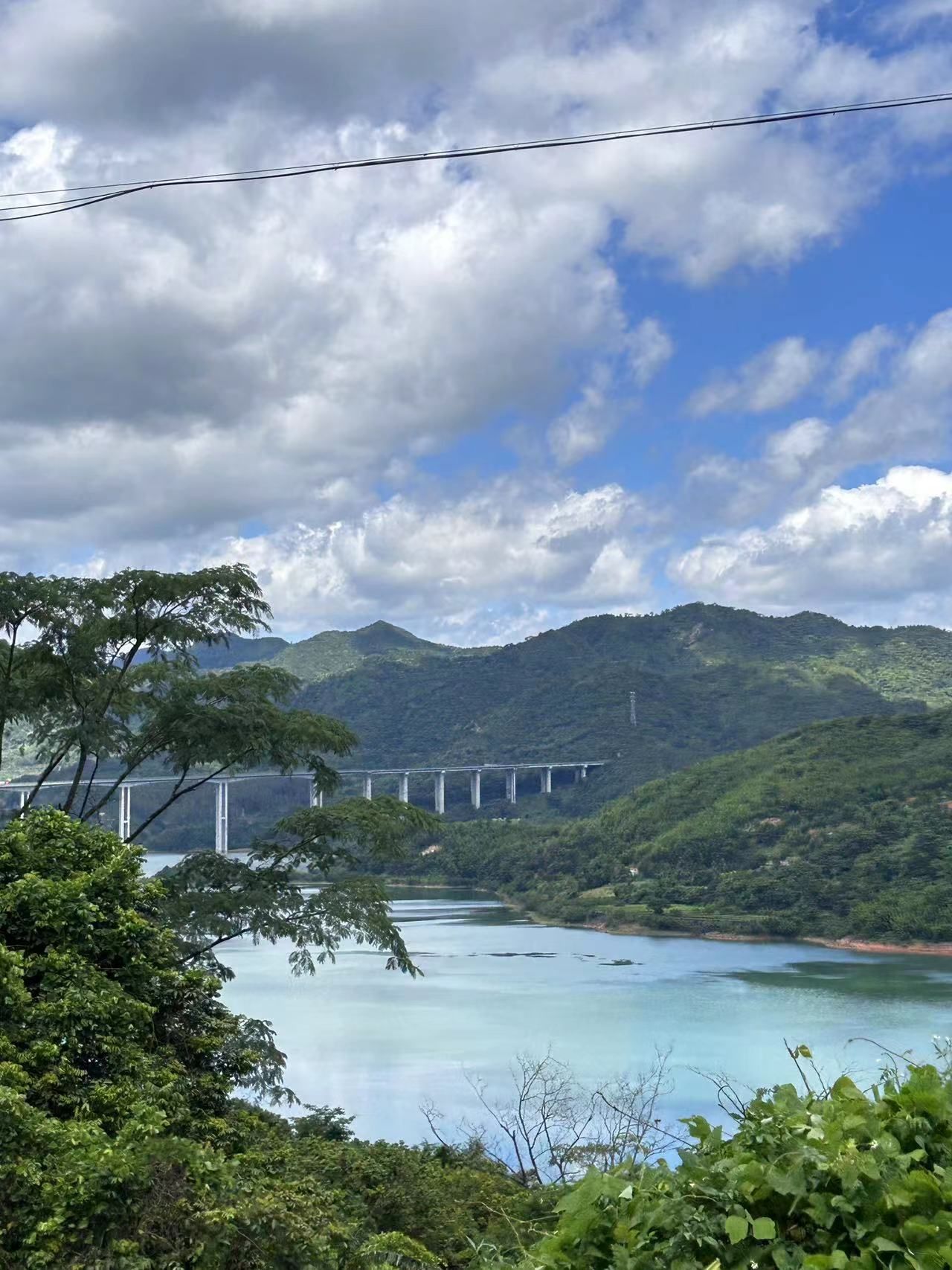 大北山森林公园旅行图片 3